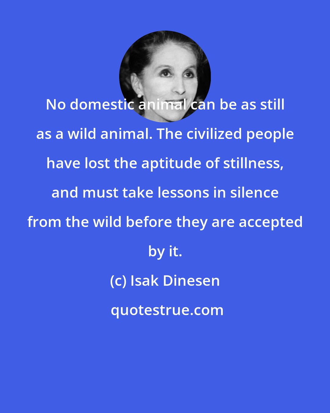 Isak Dinesen: No domestic animal can be as still as a wild animal. The civilized people have lost the aptitude of stillness, and must take lessons in silence from the wild before they are accepted by it.