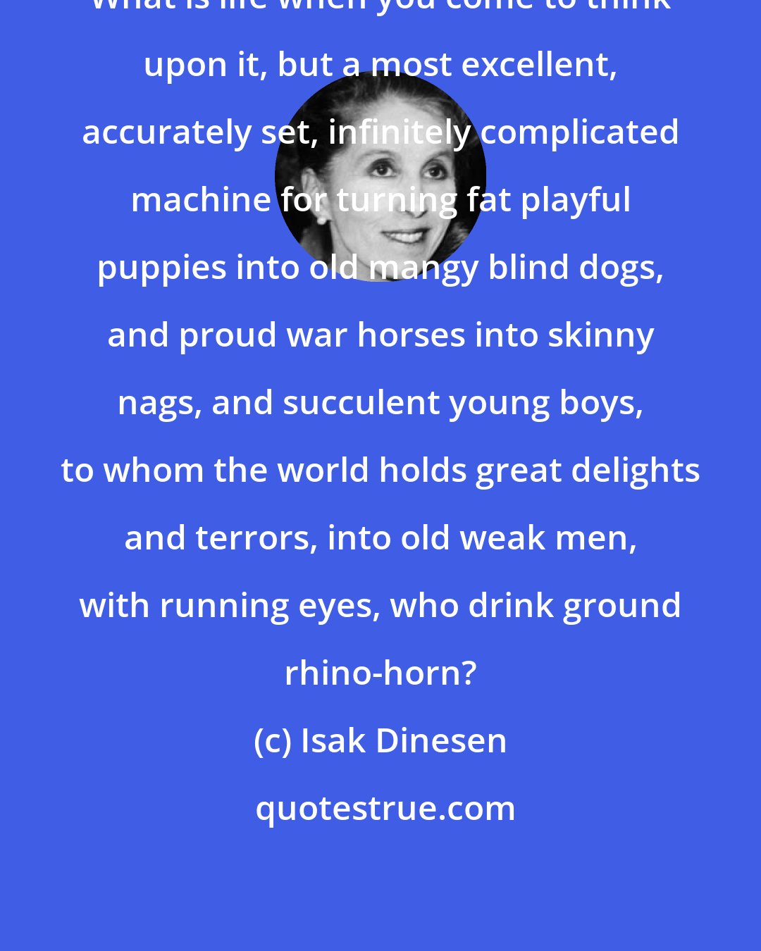 Isak Dinesen: What is life when you come to think upon it, but a most excellent, accurately set, infinitely complicated machine for turning fat playful puppies into old mangy blind dogs, and proud war horses into skinny nags, and succulent young boys, to whom the world holds great delights and terrors, into old weak men, with running eyes, who drink ground rhino-horn?