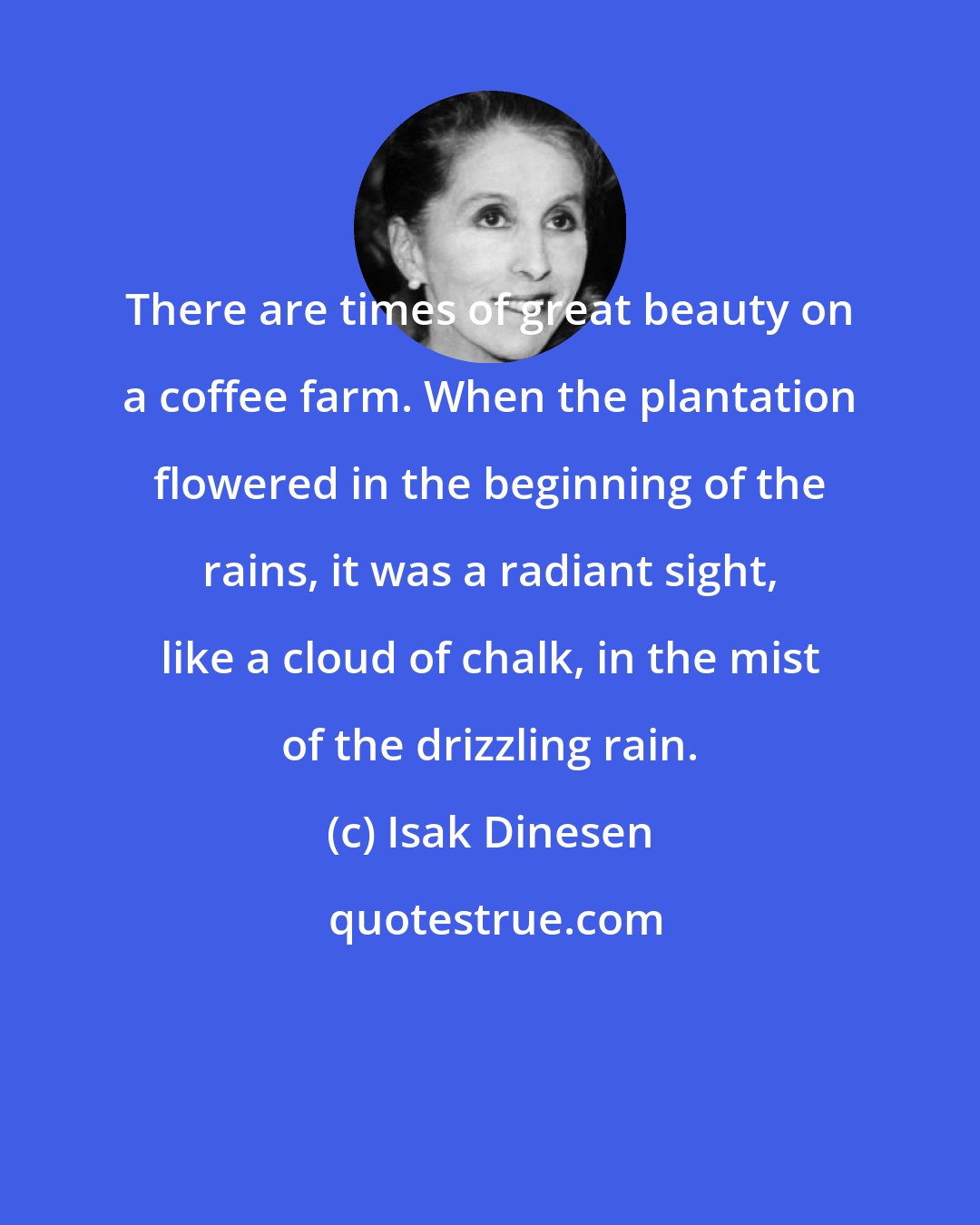 Isak Dinesen: There are times of great beauty on a coffee farm. When the plantation flowered in the beginning of the rains, it was a radiant sight, like a cloud of chalk, in the mist of the drizzling rain.