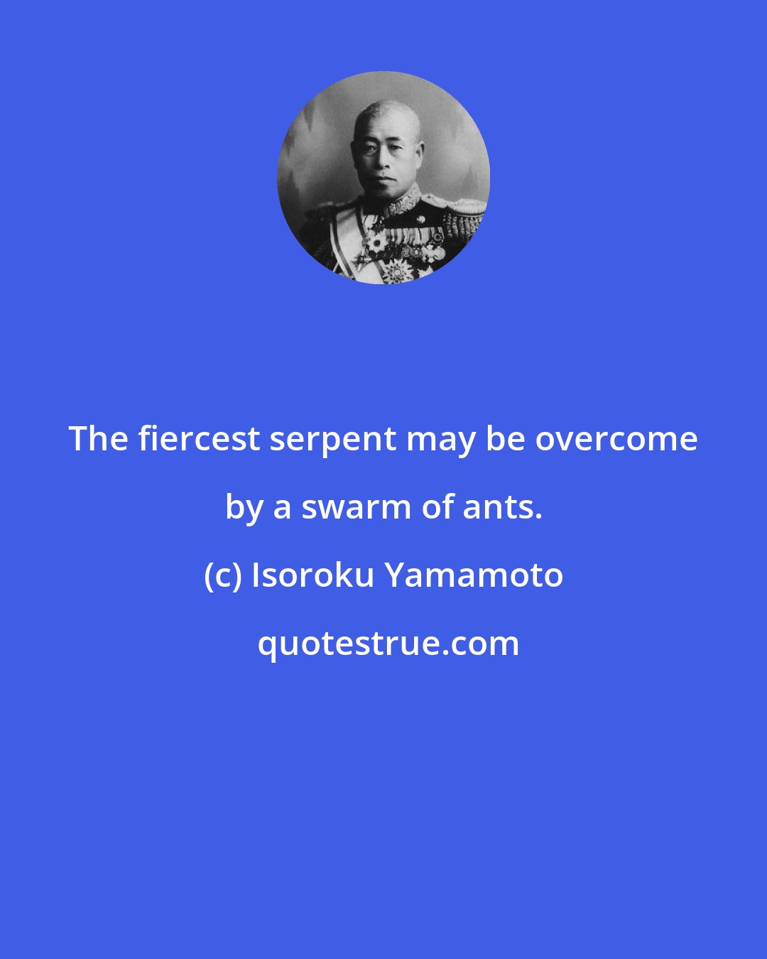 Isoroku Yamamoto: The fiercest serpent may be overcome by a swarm of ants.