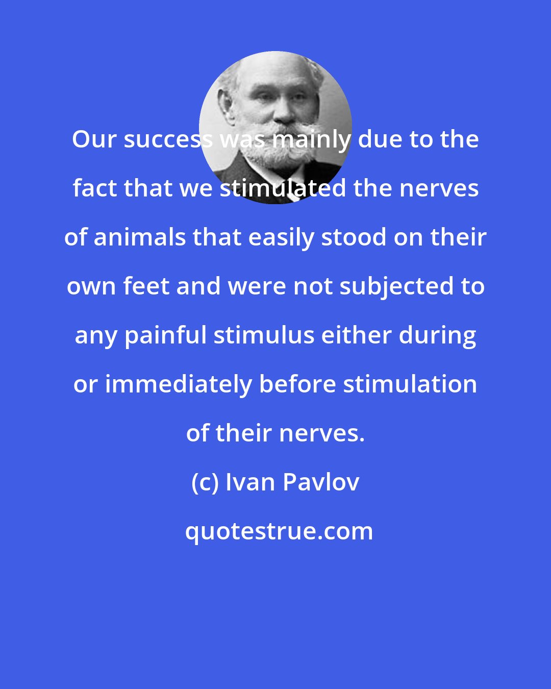 Ivan Pavlov: Our success was mainly due to the fact that we stimulated the nerves of animals that easily stood on their own feet and were not subjected to any painful stimulus either during or immediately before stimulation of their nerves.