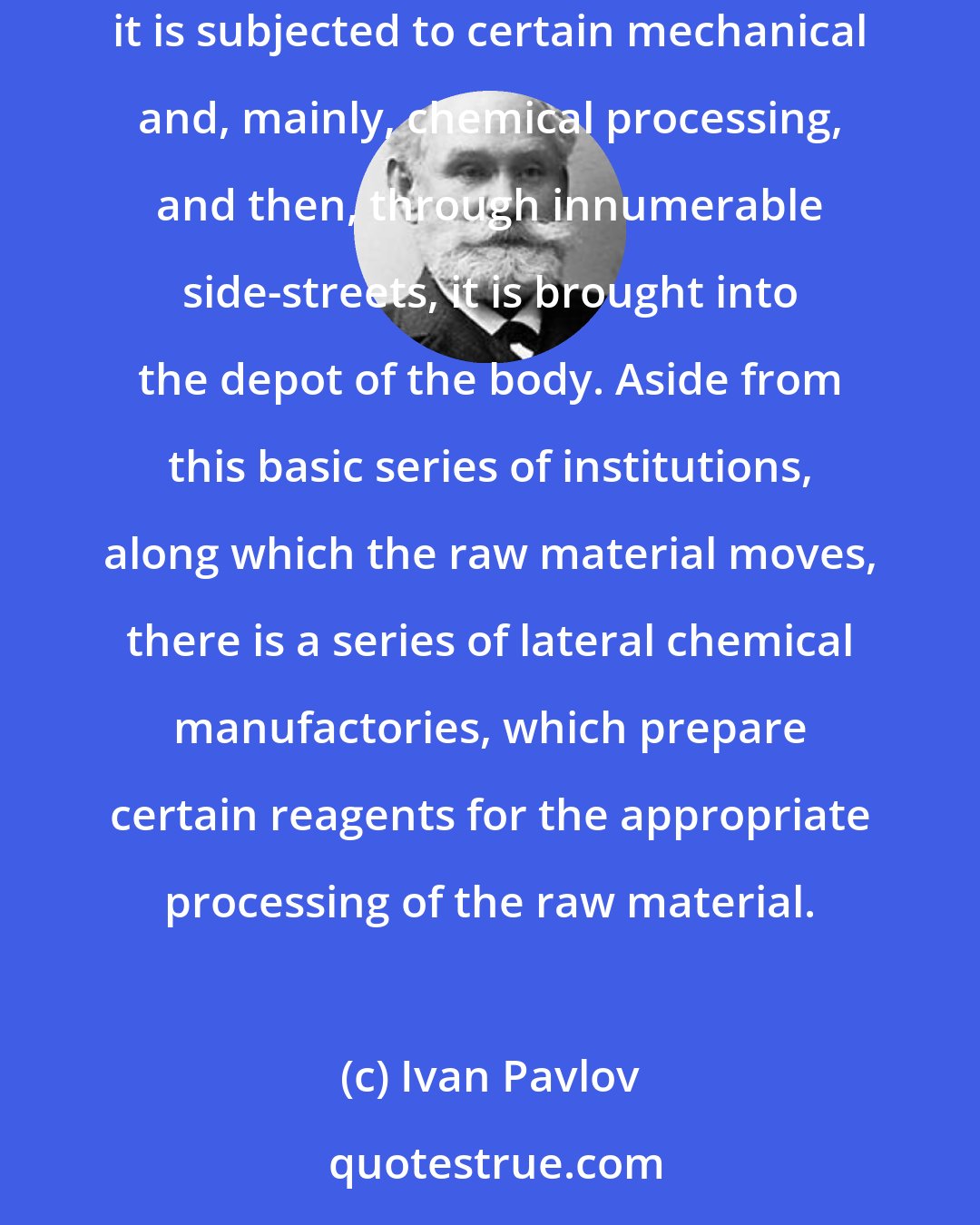 Ivan Pavlov: The digestive canal is in its task a complete chemical factory. The raw material passes through a long series of institutions in which it is subjected to certain mechanical and, mainly, chemical processing, and then, through innumerable side-streets, it is brought into the depot of the body. Aside from this basic series of institutions, along which the raw material moves, there is a series of lateral chemical manufactories, which prepare certain reagents for the appropriate processing of the raw material.