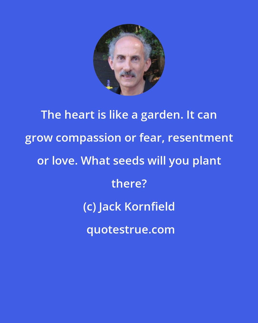 Jack Kornfield: The heart is like a garden. It can grow compassion or fear, resentment or love. What seeds will you plant there?