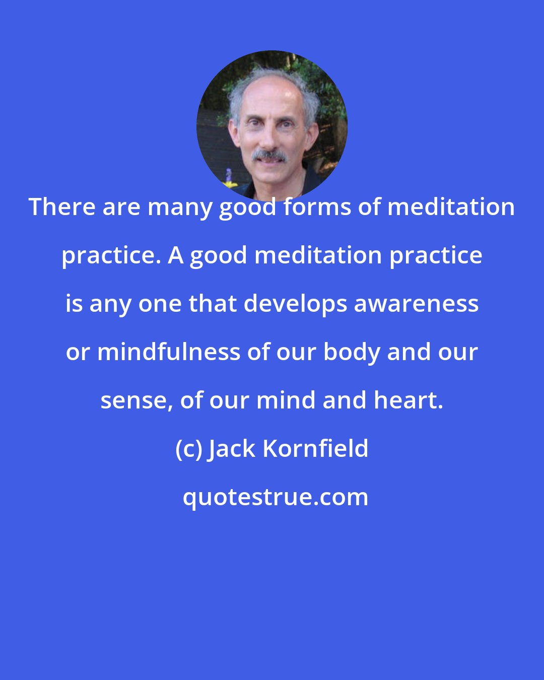 Jack Kornfield: There are many good forms of meditation practice. A good meditation practice is any one that develops awareness or mindfulness of our body and our sense, of our mind and heart.