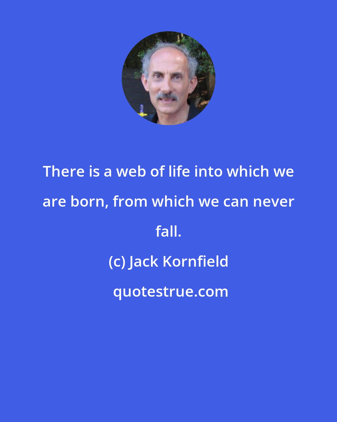 Jack Kornfield: There is a web of life into which we are born, from which we can never fall.