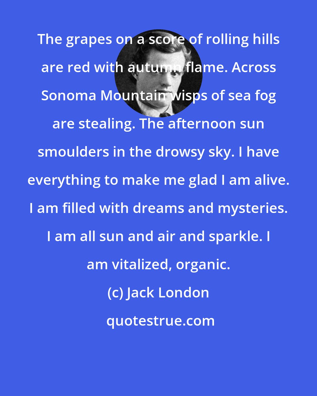 Jack London: The grapes on a score of rolling hills are red with autumn flame. Across Sonoma Mountain wisps of sea fog are stealing. The afternoon sun smoulders in the drowsy sky. I have everything to make me glad I am alive. I am filled with dreams and mysteries. I am all sun and air and sparkle. I am vitalized, organic.