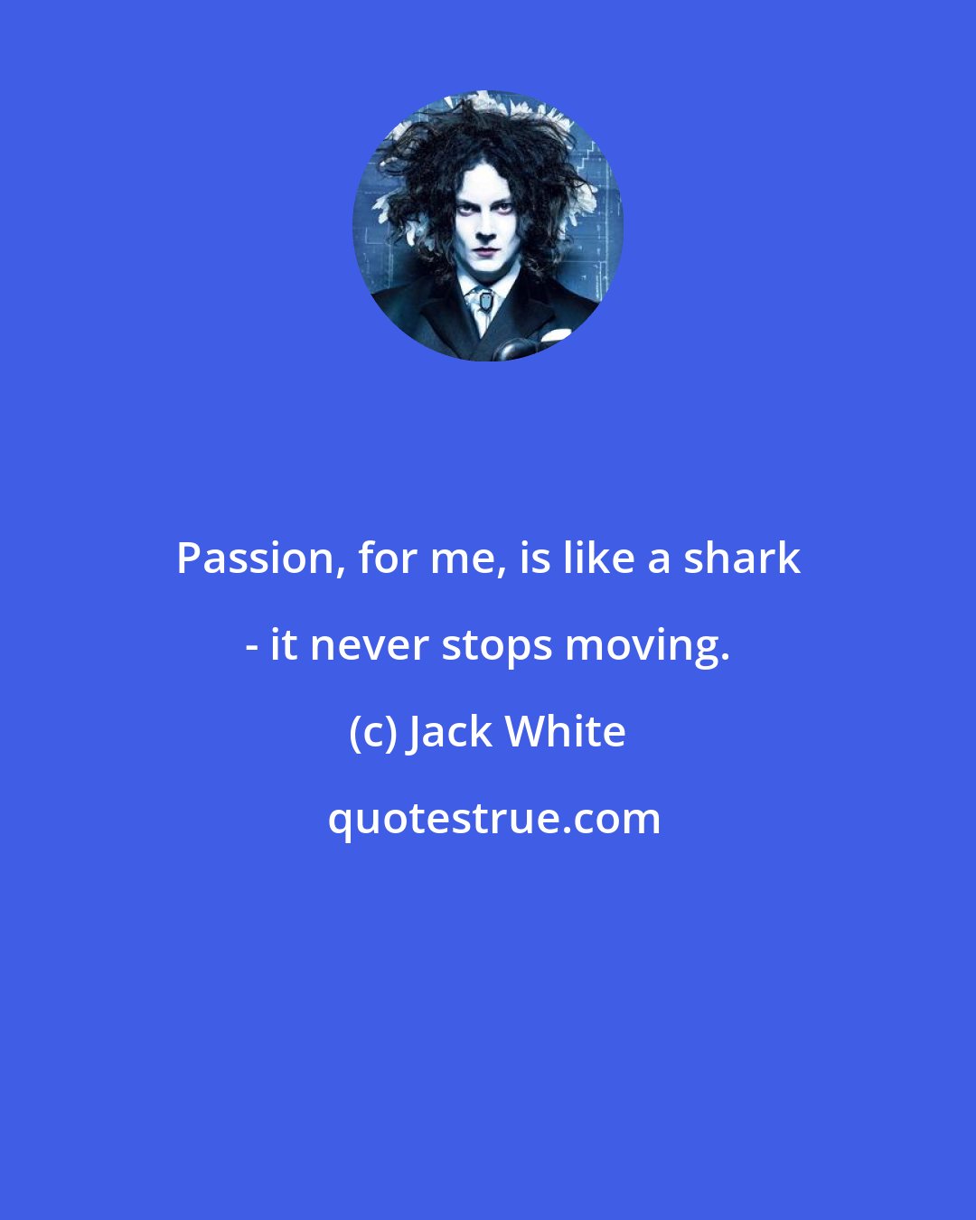 Jack White: Passion, for me, is like a shark - it never stops moving.