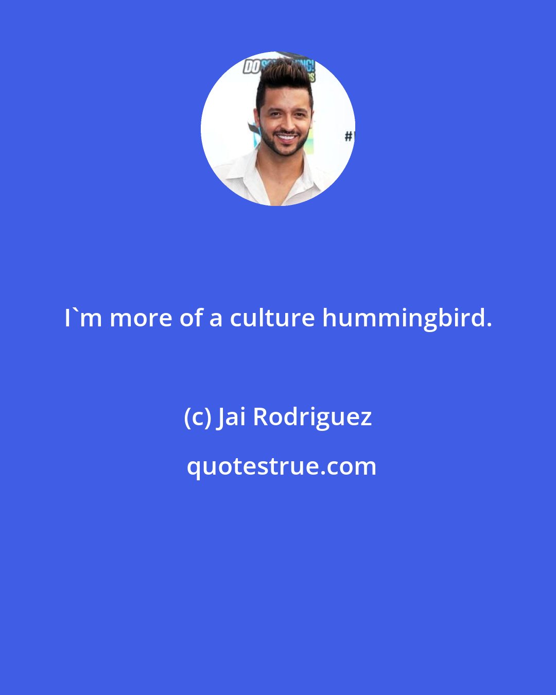 Jai Rodriguez: I'm more of a culture hummingbird.