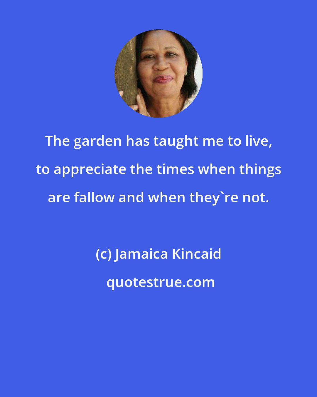 Jamaica Kincaid: The garden has taught me to live, to appreciate the times when things are fallow and when they're not.