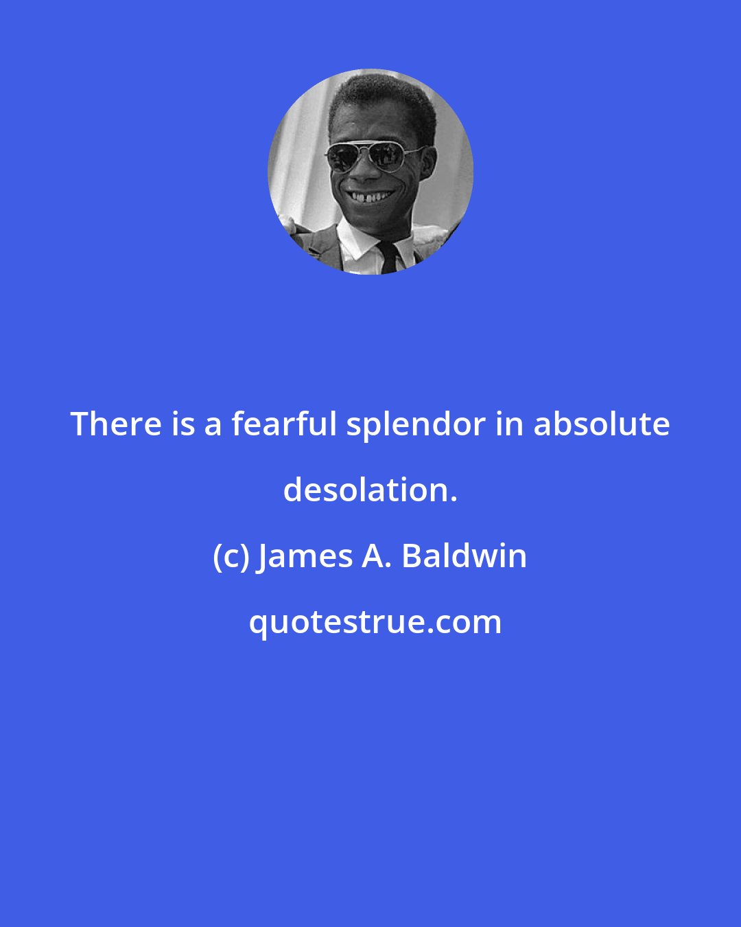 James A. Baldwin: There is a fearful splendor in absolute desolation.