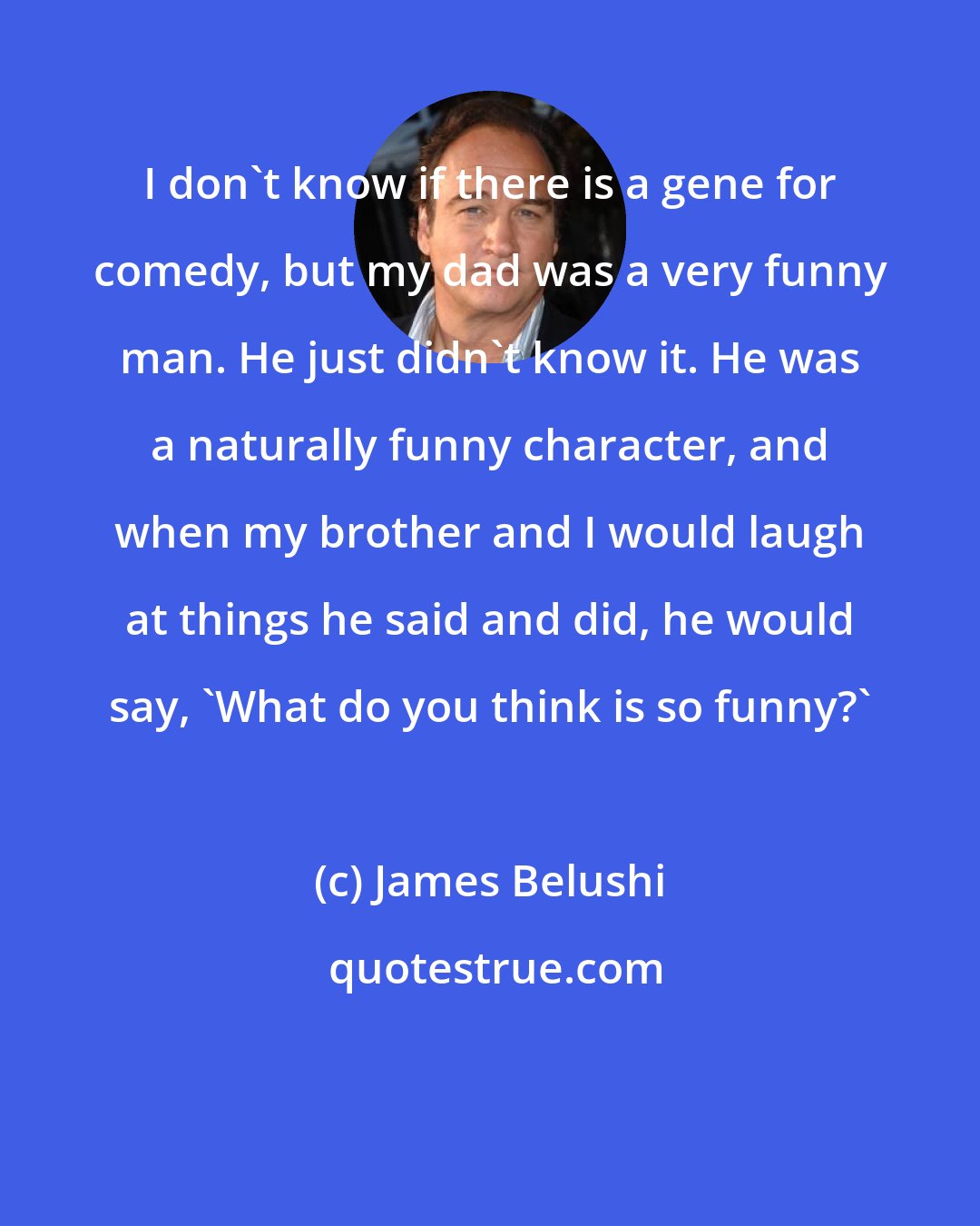 James Belushi: I don't know if there is a gene for comedy, but my dad was a very funny man. He just didn't know it. He was a naturally funny character, and when my brother and I would laugh at things he said and did, he would say, 'What do you think is so funny?'
