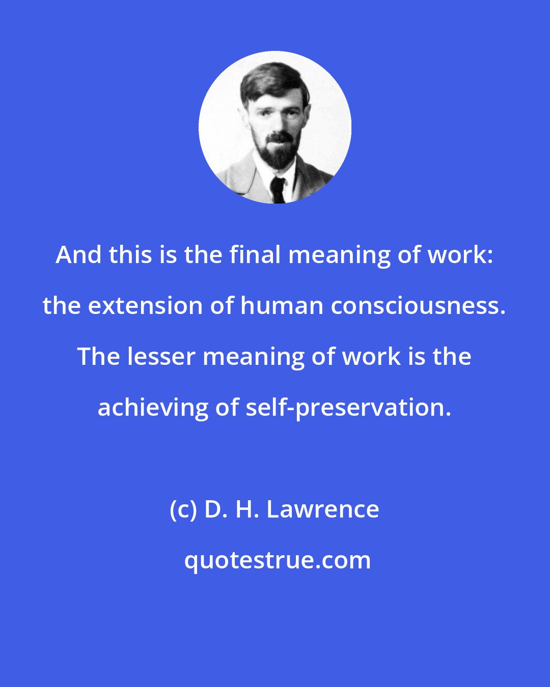 D. H. Lawrence: And this is the final meaning of work: the extension of human consciousness. The lesser meaning of work is the achieving of self-preservation.