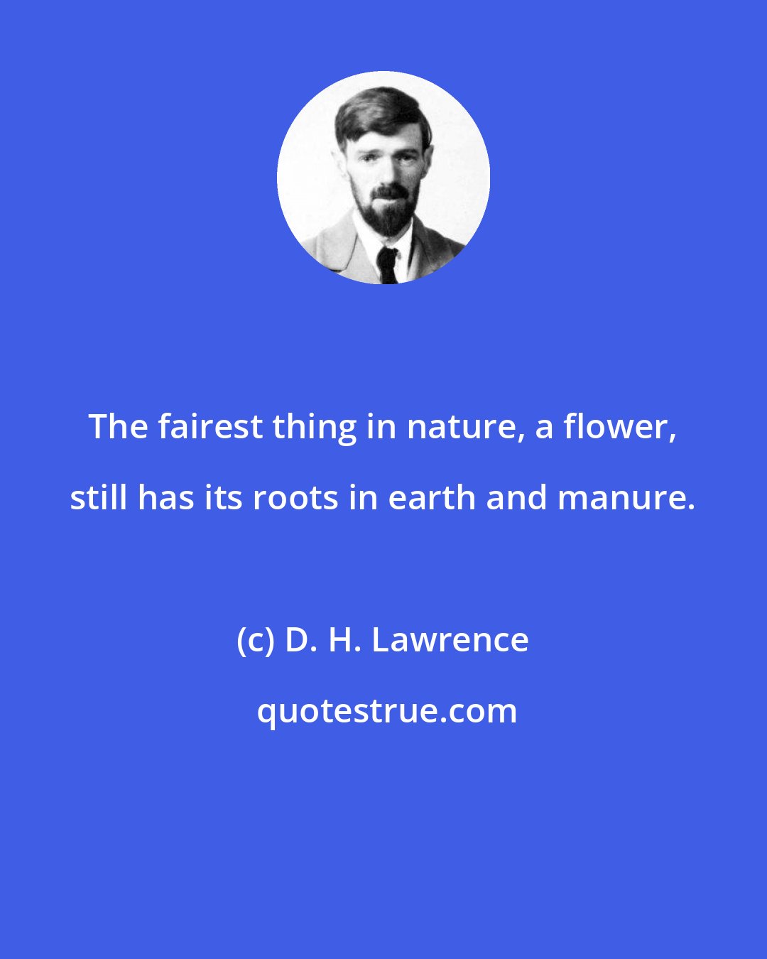 D. H. Lawrence: The fairest thing in nature, a flower, still has its roots in earth and manure.