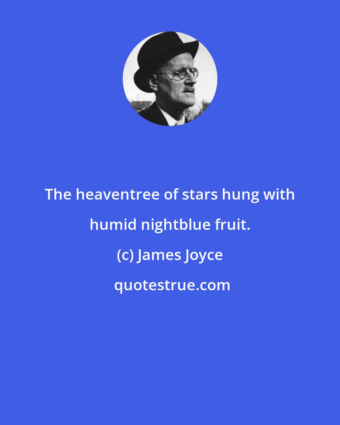 James Joyce: The heaventree of stars hung with humid nightblue fruit.