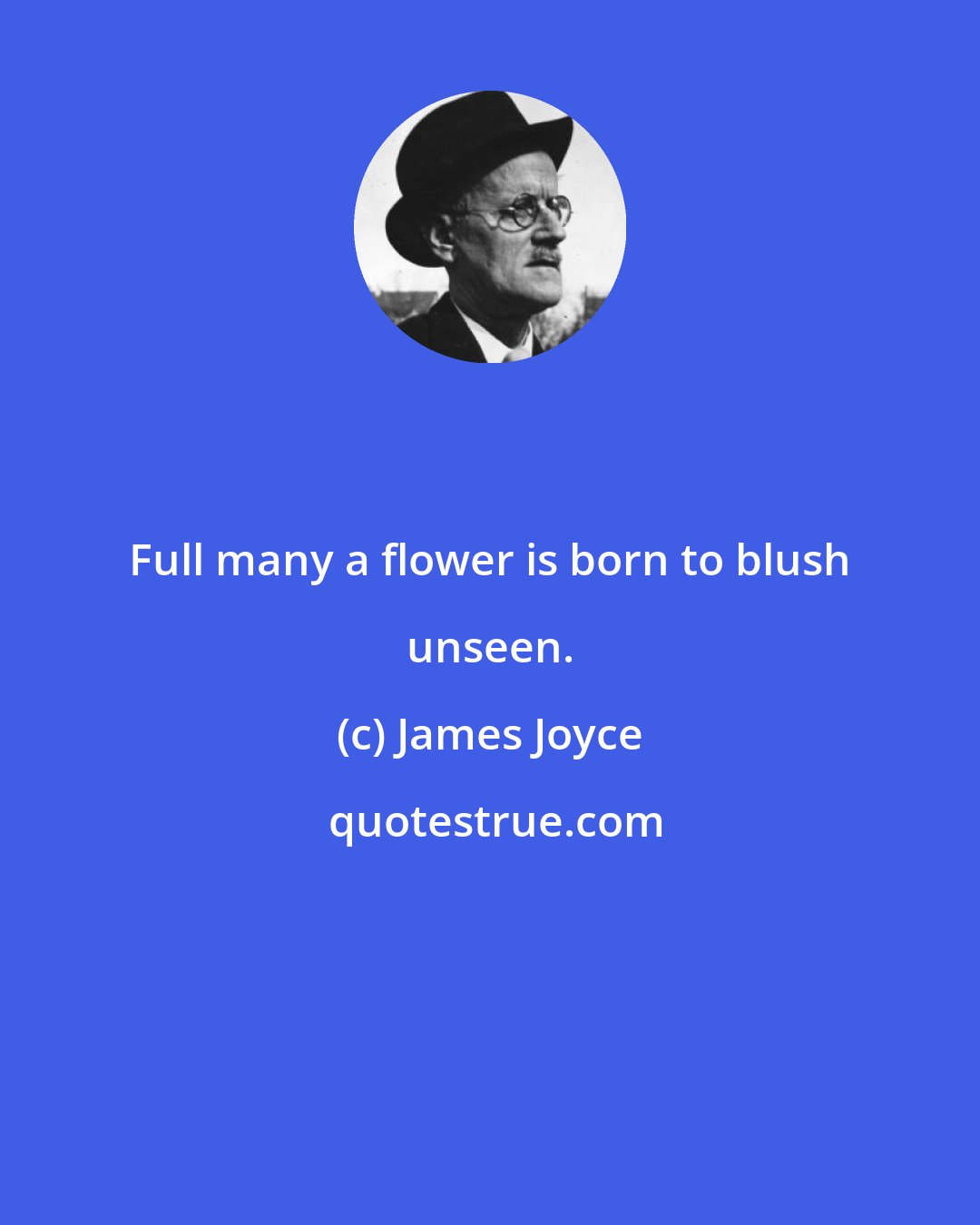 James Joyce: Full many a flower is born to blush unseen.