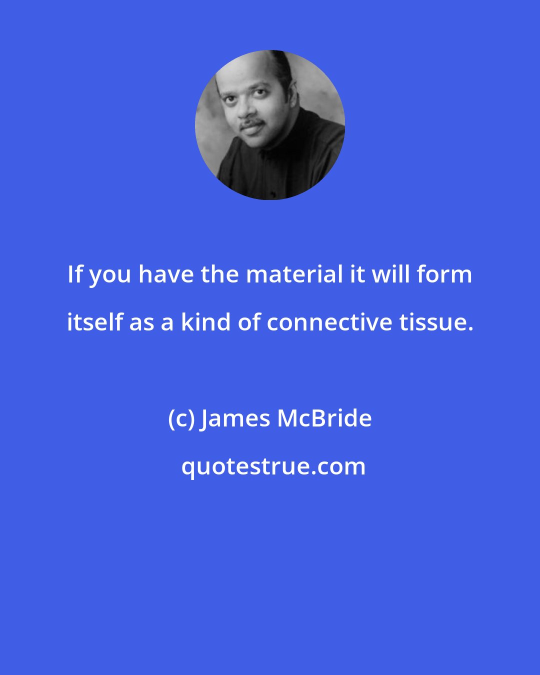 James McBride: If you have the material it will form itself as a kind of connective tissue.