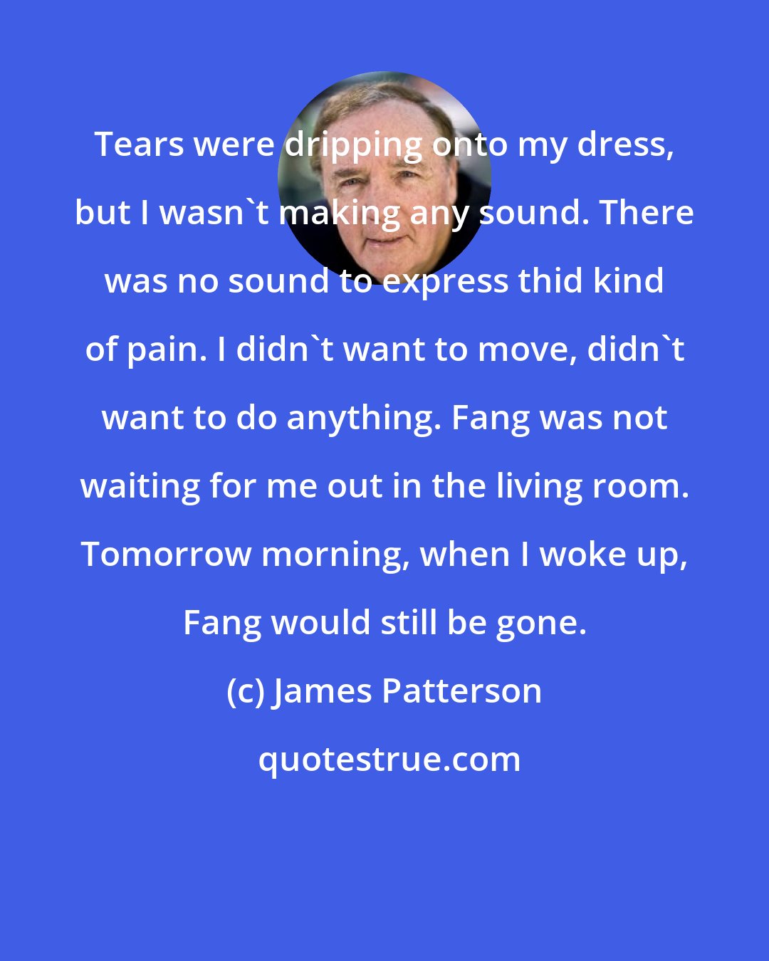 James Patterson: Tears were dripping onto my dress, but I wasn't making any sound. There was no sound to express thid kind of pain. I didn't want to move, didn't want to do anything. Fang was not waiting for me out in the living room. Tomorrow morning, when I woke up, Fang would still be gone.