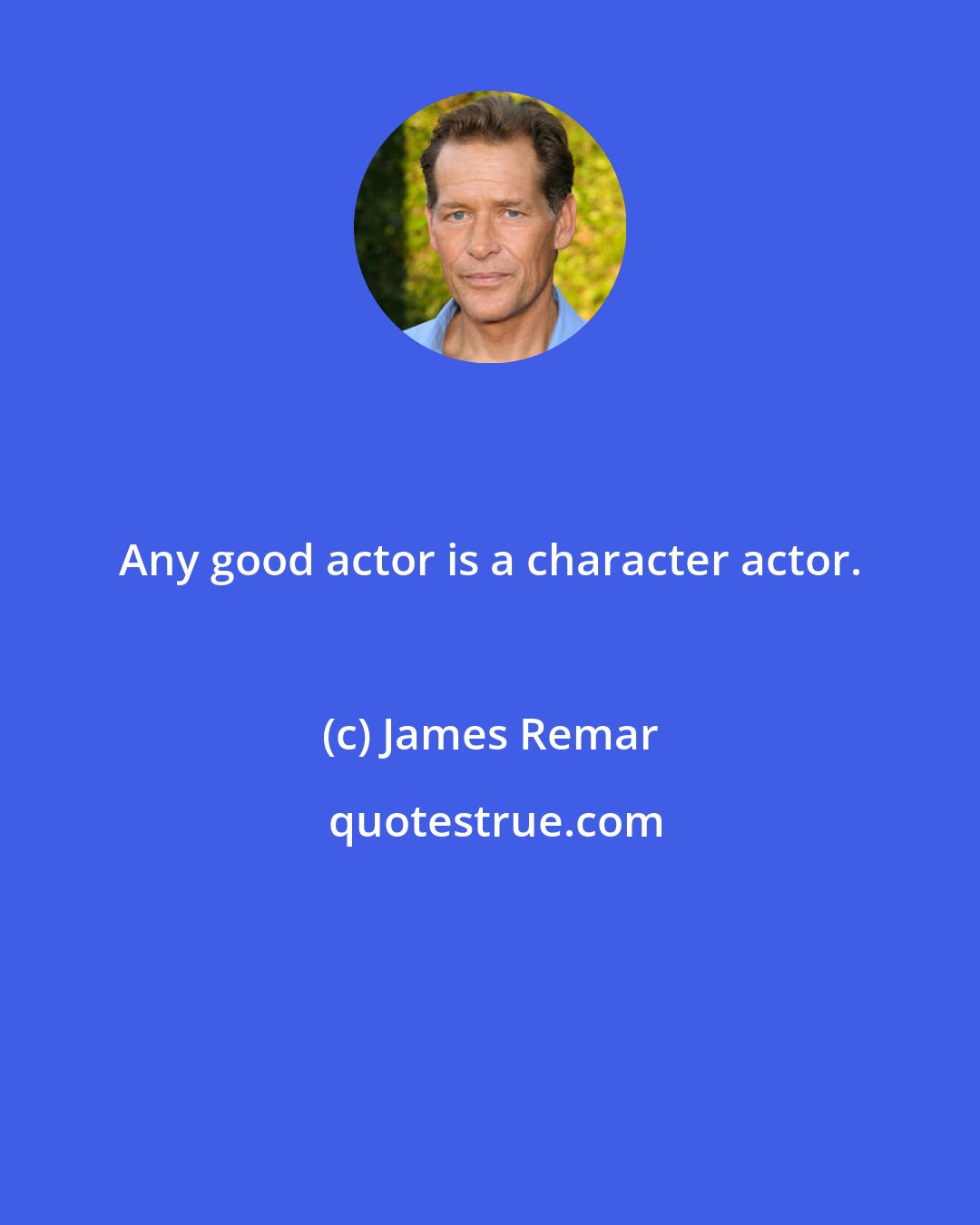 James Remar: Any good actor is a character actor.