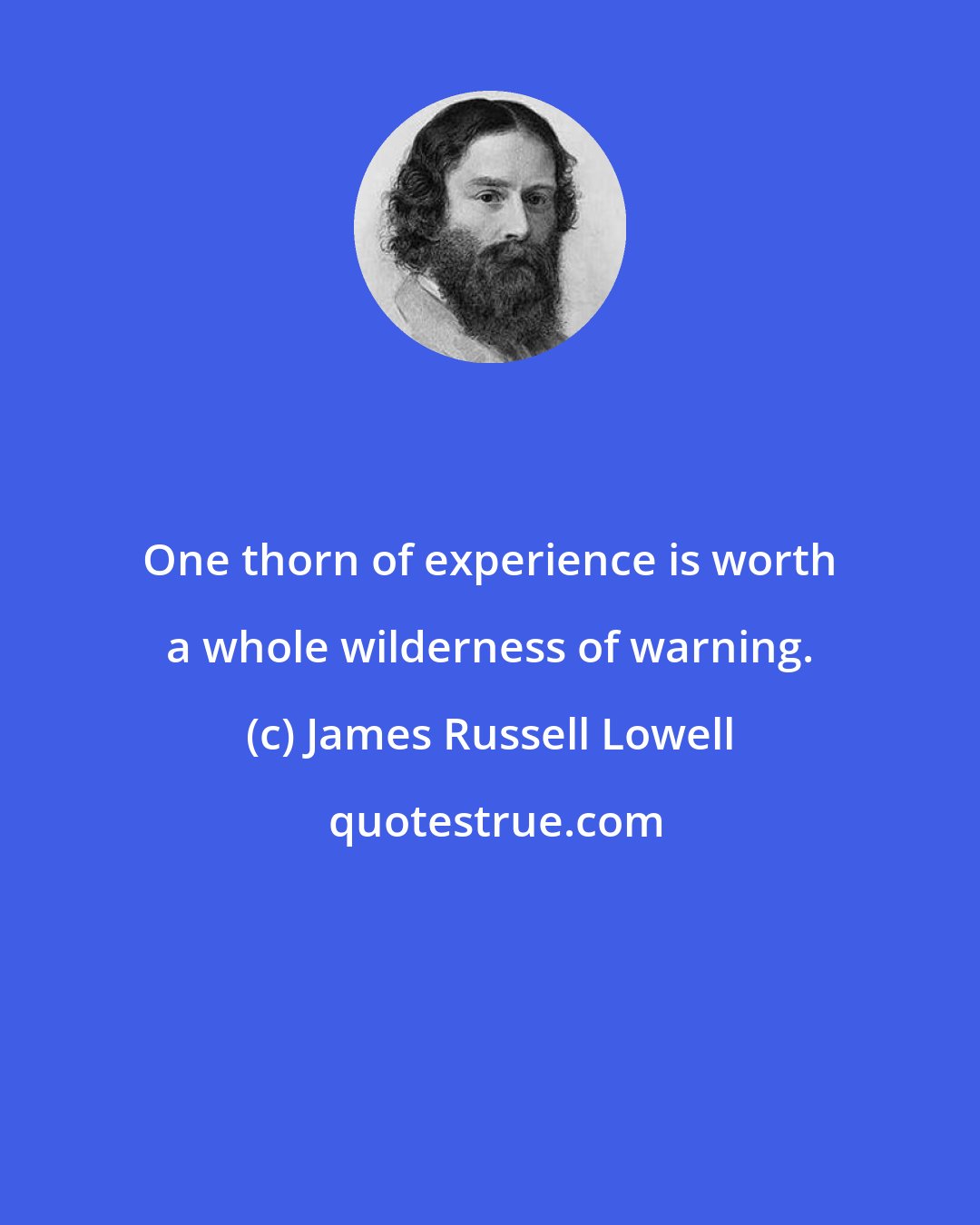 James Russell Lowell: One thorn of experience is worth a whole wilderness of warning.