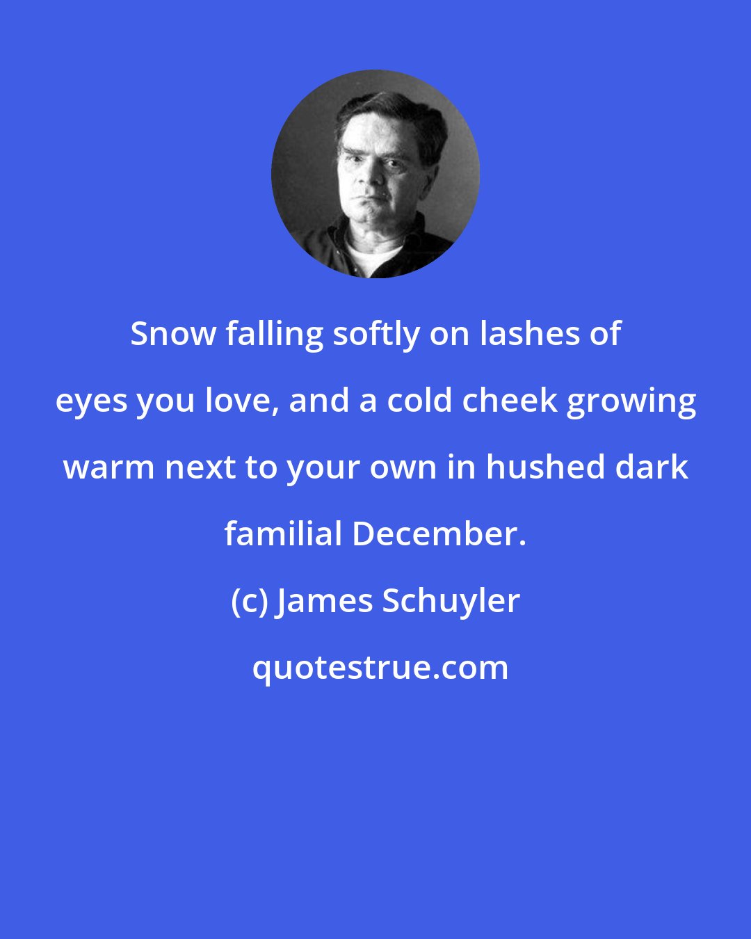 James Schuyler: Snow falling softly on lashes of eyes you love, and a cold cheek growing warm next to your own in hushed dark familial December.