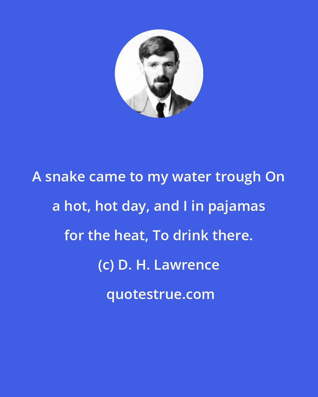 D. H. Lawrence: A snake came to my water trough On a hot, hot day, and I in pajamas for the heat, To drink there.