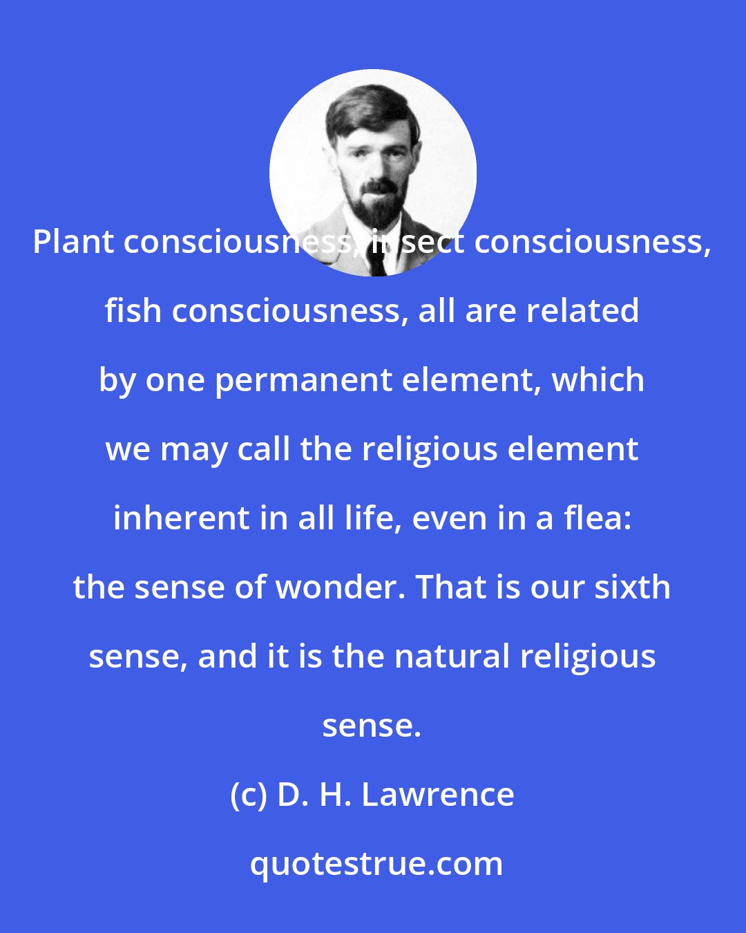 D. H. Lawrence: Plant consciousness, insect consciousness, fish consciousness, all are related by one permanent element, which we may call the religious element inherent in all life, even in a flea: the sense of wonder. That is our sixth sense, and it is the natural religious sense.