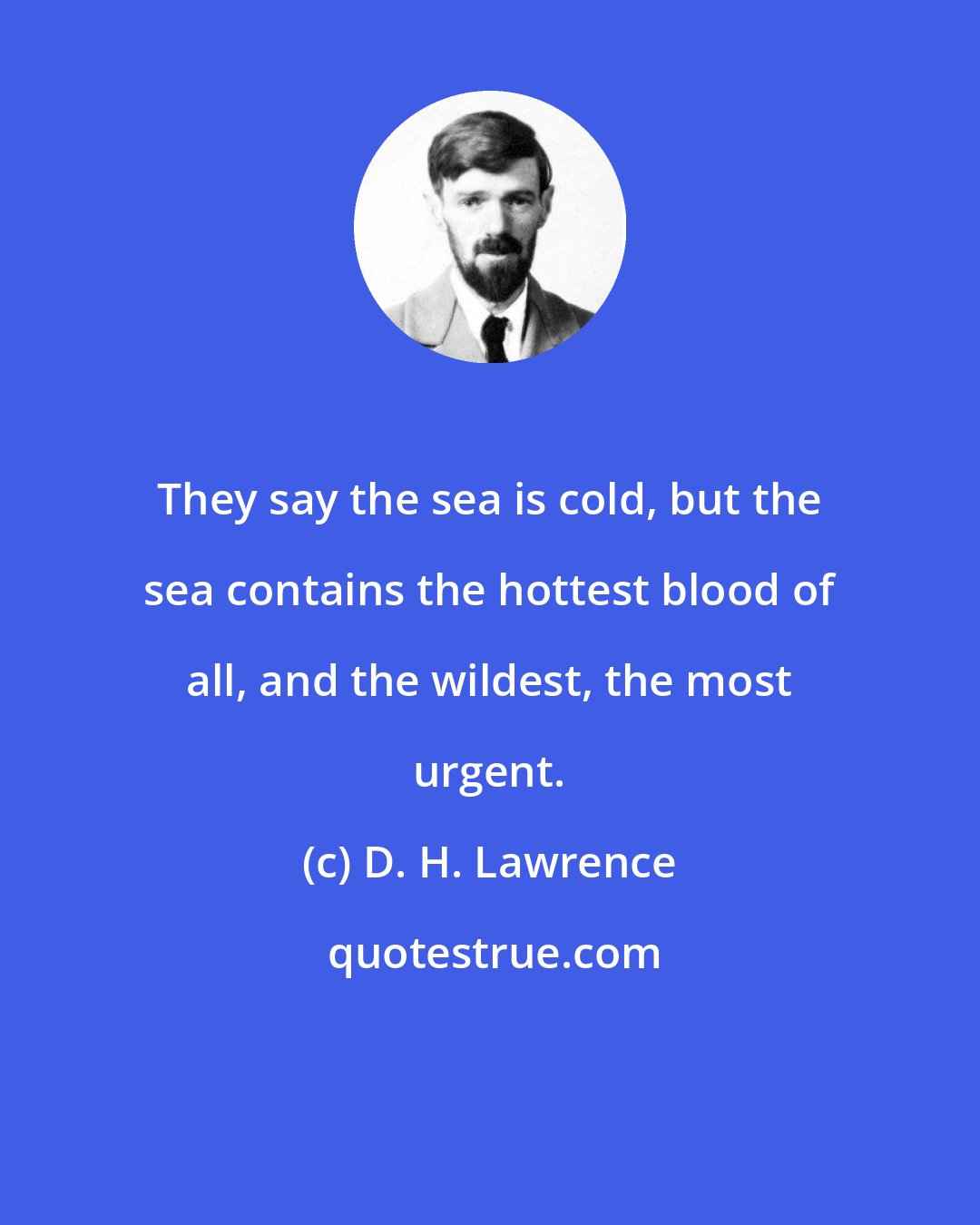 D. H. Lawrence: They say the sea is cold, but the sea contains the hottest blood of all, and the wildest, the most urgent.