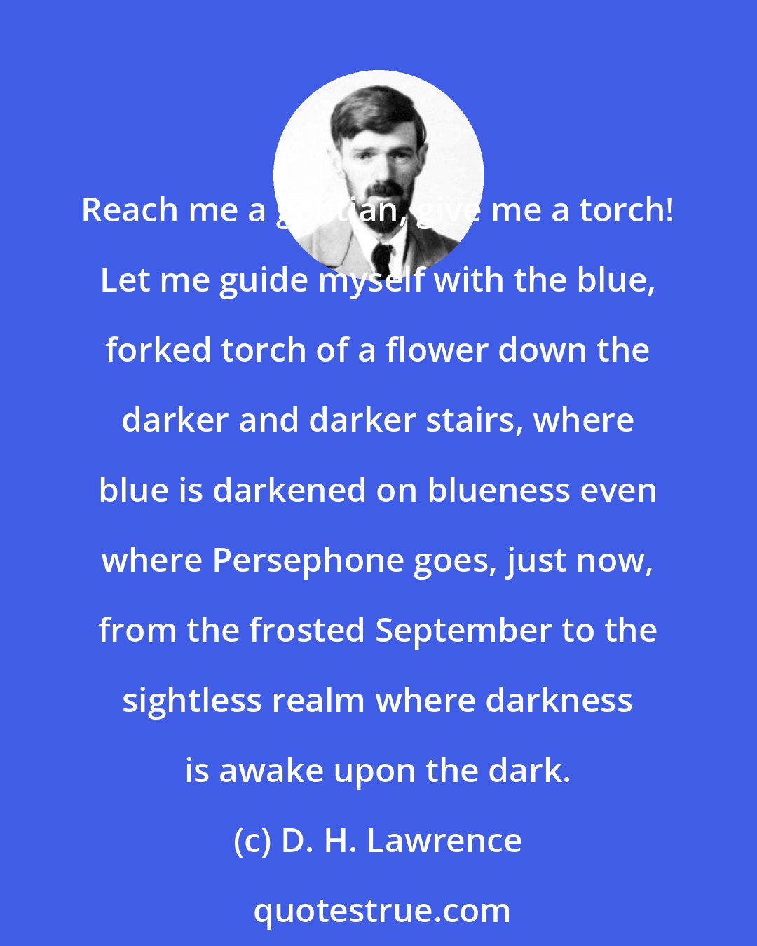 D. H. Lawrence: Reach me a gentian, give me a torch! Let me guide myself with the blue, forked torch of a flower down the darker and darker stairs, where blue is darkened on blueness even where Persephone goes, just now, from the frosted September to the sightless realm where darkness is awake upon the dark.
