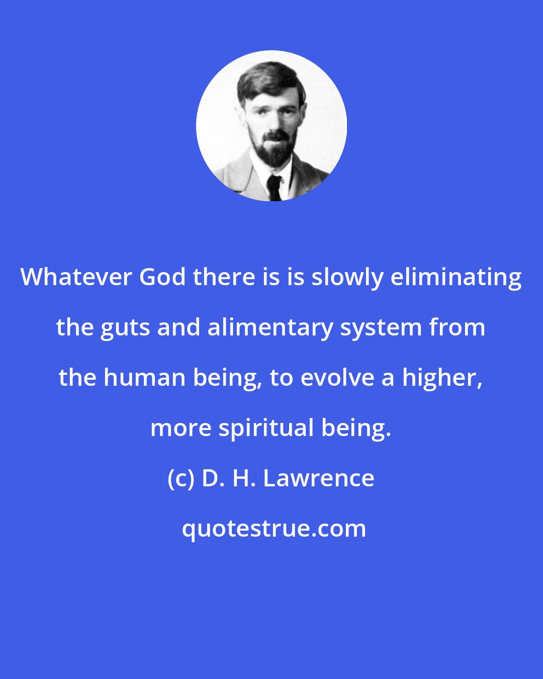 D. H. Lawrence: Whatever God there is is slowly eliminating the guts and alimentary system from the human being, to evolve a higher, more spiritual being.