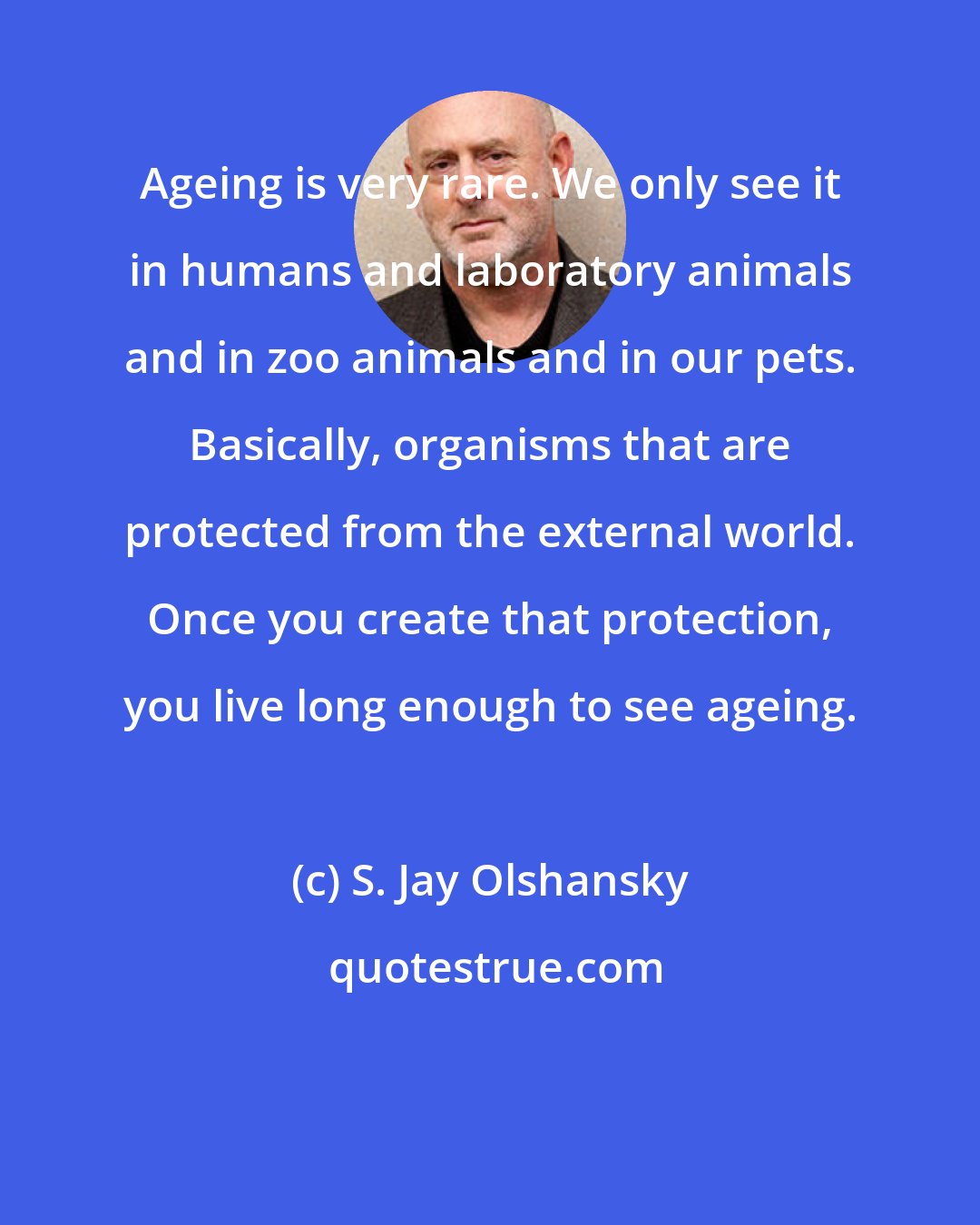 S. Jay Olshansky: Ageing is very rare. We only see it in humans and laboratory animals and in zoo animals and in our pets. Basically, organisms that are protected from the external world. Once you create that protection, you live long enough to see ageing.