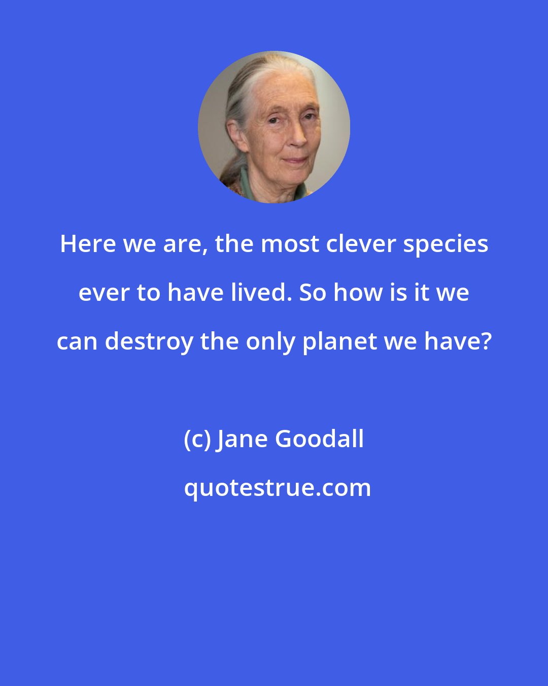 Jane Goodall: Here we are, the most clever species ever to have lived. So how is it we can destroy the only planet we have?