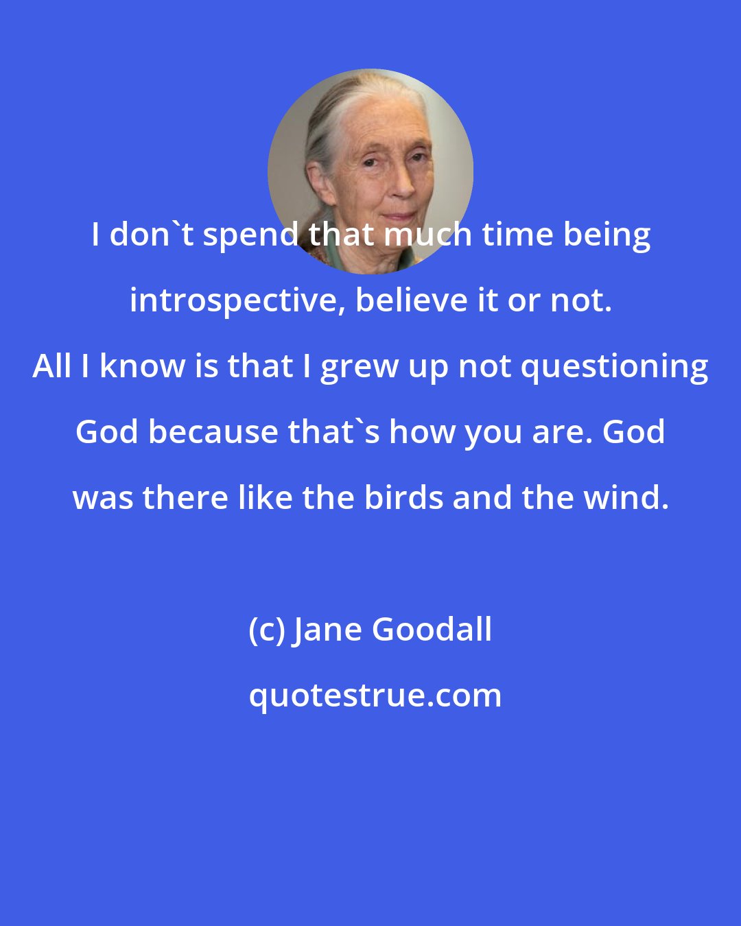 Jane Goodall: I don't spend that much time being introspective, believe it or not. All I know is that I grew up not questioning God because that's how you are. God was there like the birds and the wind.
