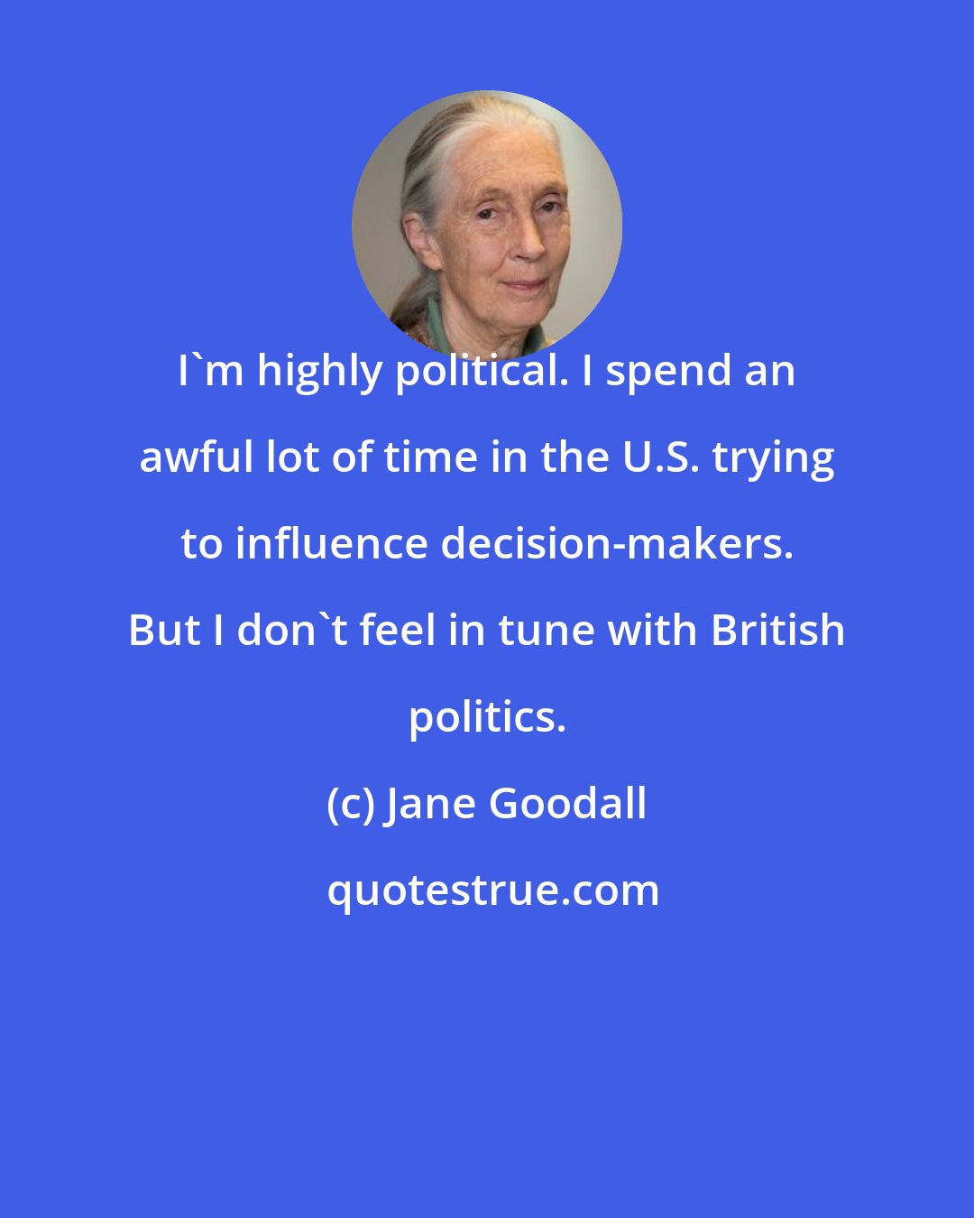 Jane Goodall: I'm highly political. I spend an awful lot of time in the U.S. trying to influence decision-makers. But I don't feel in tune with British politics.