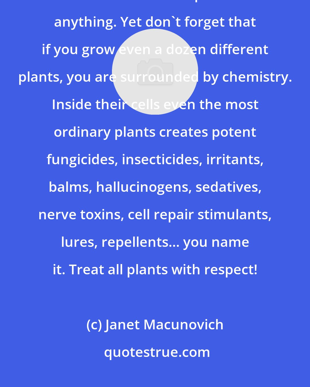 Janet Macunovich: Take care with manufactured chemicals, certainly. Your safety and long term health are more important than anything. Yet don't forget that if you grow even a dozen different plants, you are surrounded by chemistry. Inside their cells even the most ordinary plants creates potent fungicides, insecticides, irritants, balms, hallucinogens, sedatives, nerve toxins, cell repair stimulants, lures, repellents... you name it. Treat all plants with respect!