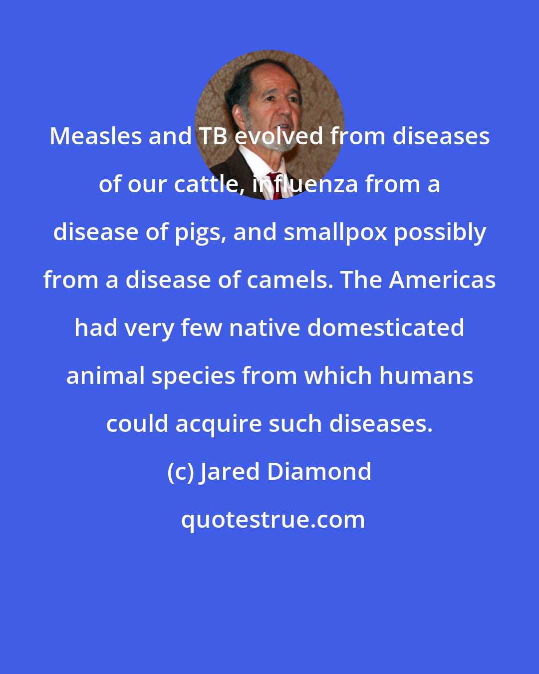 Jared Diamond: Measles and TB evolved from diseases of our cattle, influenza from a disease of pigs, and smallpox possibly from a disease of camels. The Americas had very few native domesticated animal species from which humans could acquire such diseases.