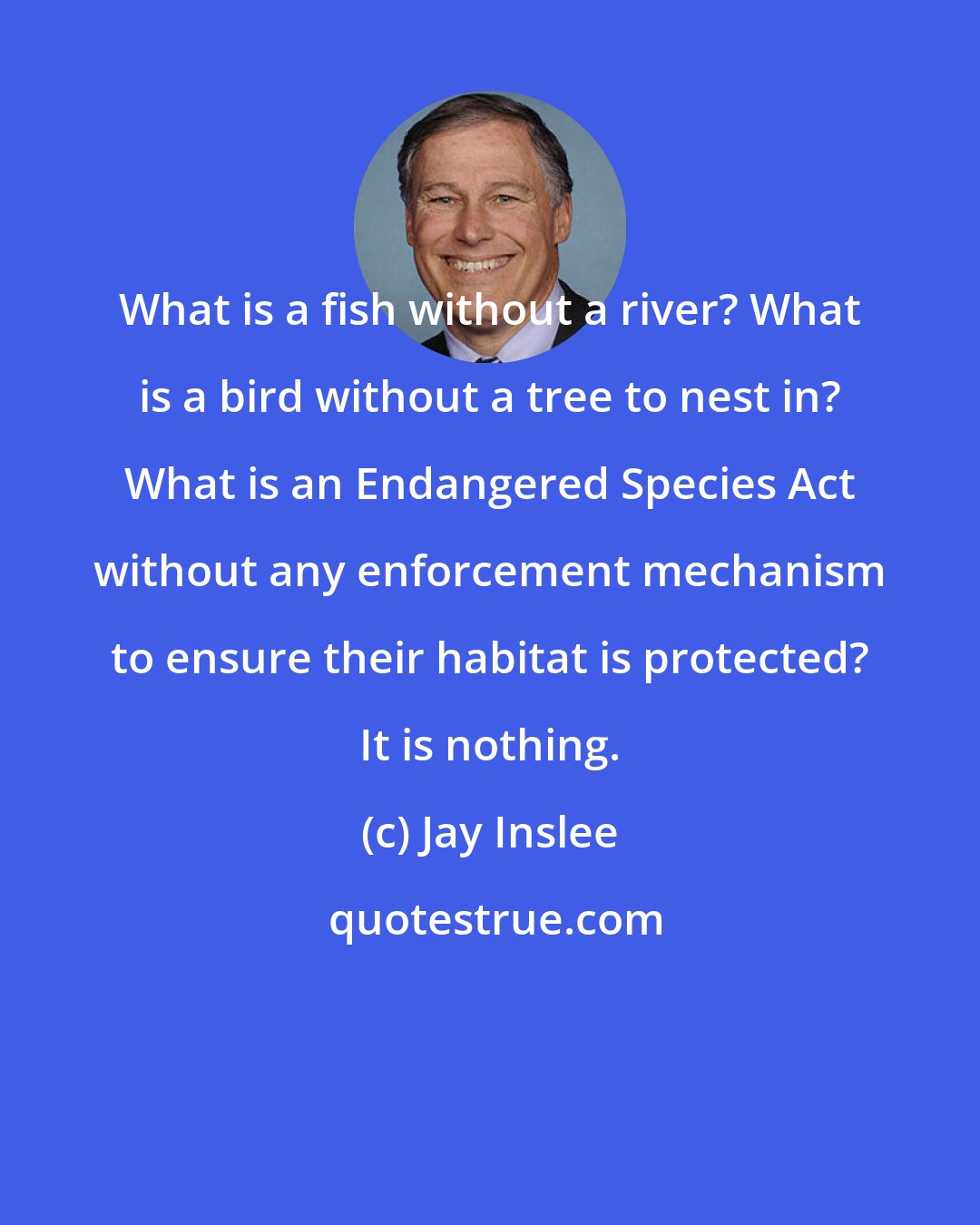 Jay Inslee: What is a fish without a river? What is a bird without a tree to nest in? What is an Endangered Species Act without any enforcement mechanism to ensure their habitat is protected? It is nothing.