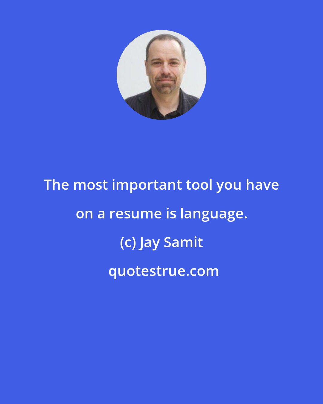 Jay Samit: The most important tool you have on a resume is language.