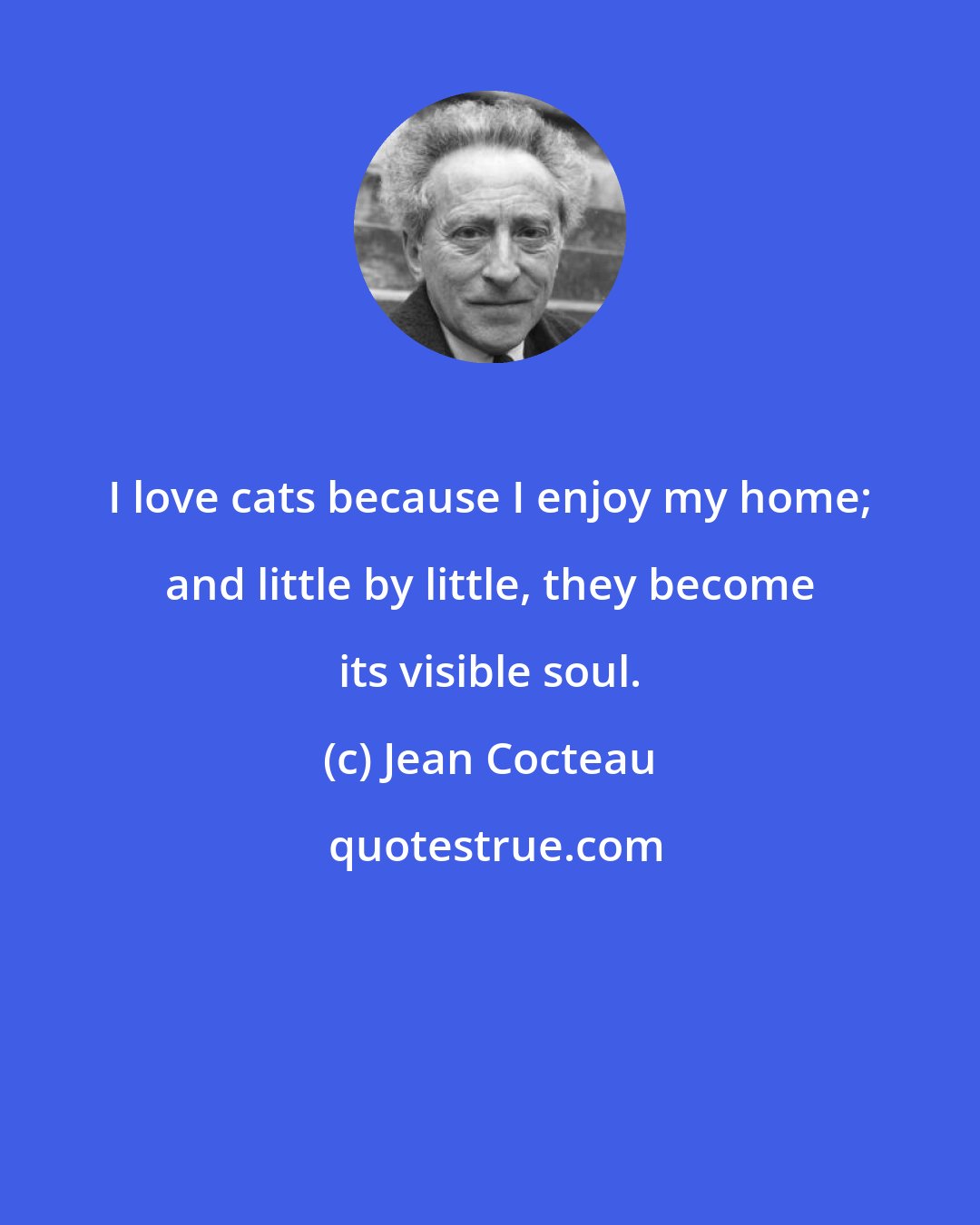 Jean Cocteau: I love cats because I enjoy my home; and little by little, they become its visible soul.