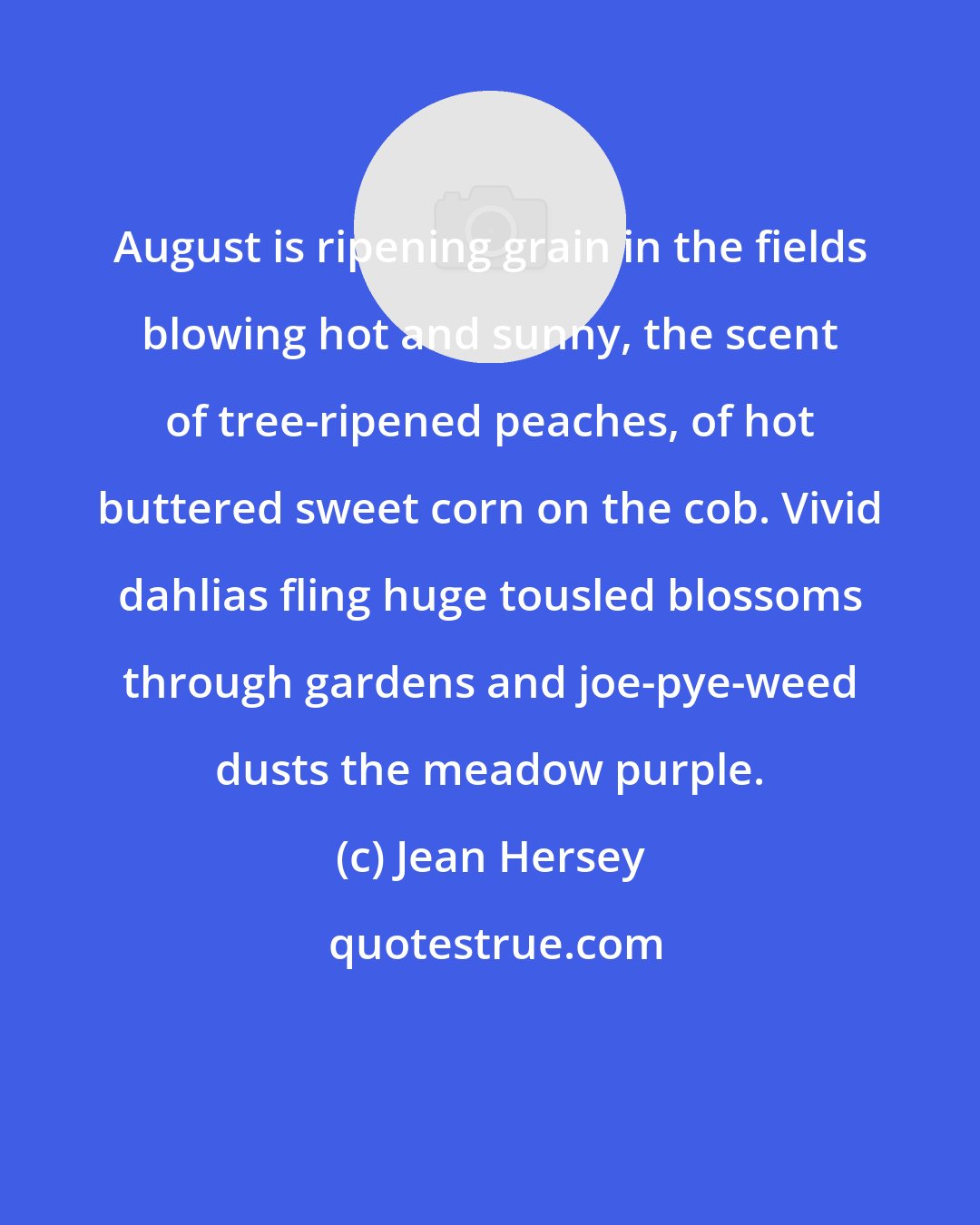 Jean Hersey: August is ripening grain in the fields blowing hot and sunny, the scent of tree-ripened peaches, of hot buttered sweet corn on the cob. Vivid dahlias fling huge tousled blossoms through gardens and joe-pye-weed dusts the meadow purple.