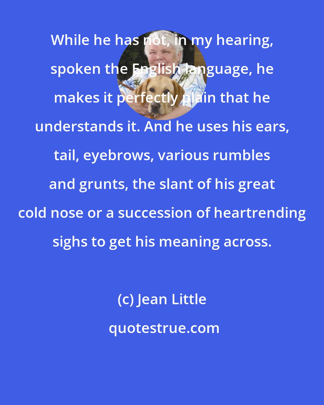 Jean Little: While he has not, in my hearing, spoken the English language, he makes it perfectly plain that he understands it. And he uses his ears, tail, eyebrows, various rumbles and grunts, the slant of his great cold nose or a succession of heartrending sighs to get his meaning across.