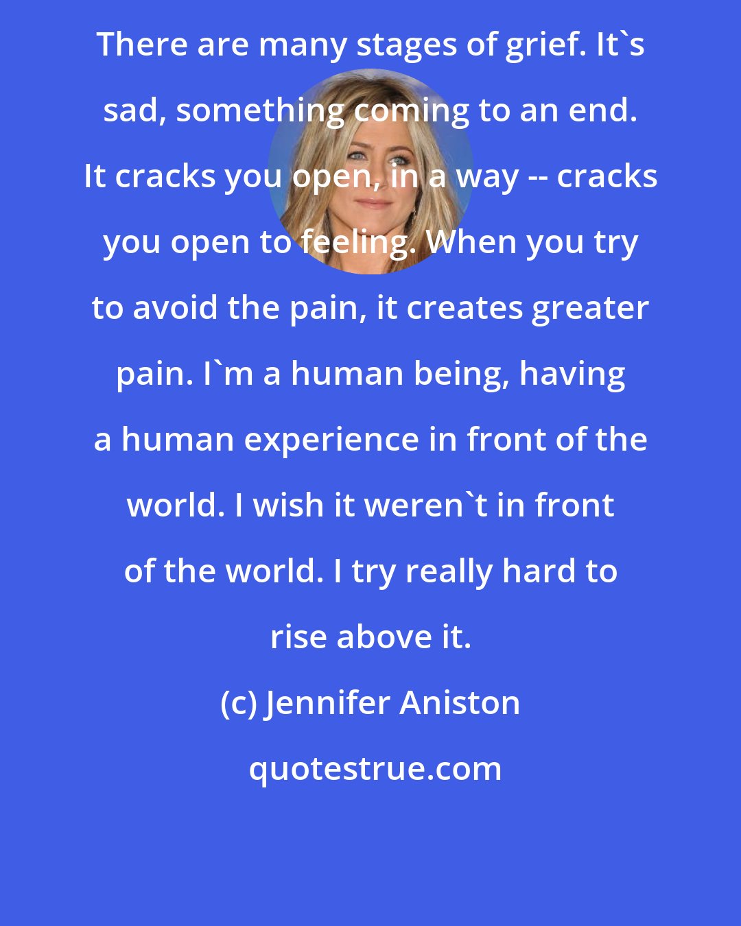 Jennifer Aniston: There are many stages of grief. It's sad, something coming to an end. It cracks you open, in a way -- cracks you open to feeling. When you try to avoid the pain, it creates greater pain. I'm a human being, having a human experience in front of the world. I wish it weren't in front of the world. I try really hard to rise above it.