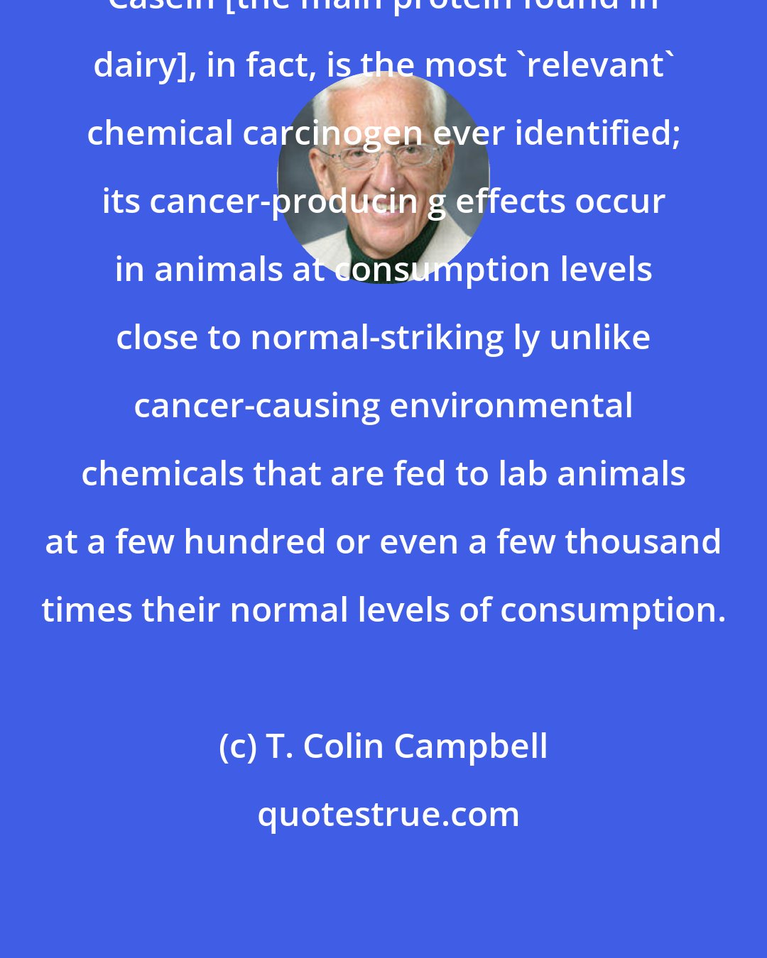 T. Colin Campbell: Casein [the main protein found in dairy], in fact, is the most 'relevant' chemical carcinogen ever identified; its cancer-producin g effects occur in animals at consumption levels close to normal-striking ly unlike cancer-causing environmental chemicals that are fed to lab animals at a few hundred or even a few thousand times their normal levels of consumption.