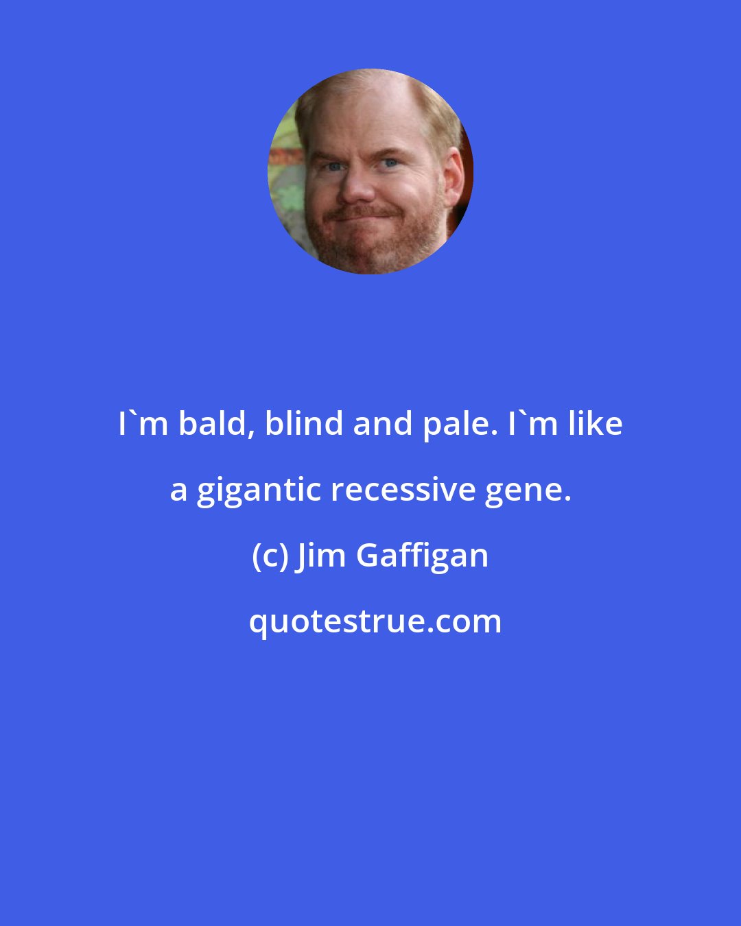 Jim Gaffigan: I'm bald, blind and pale. I'm like a gigantic recessive gene.