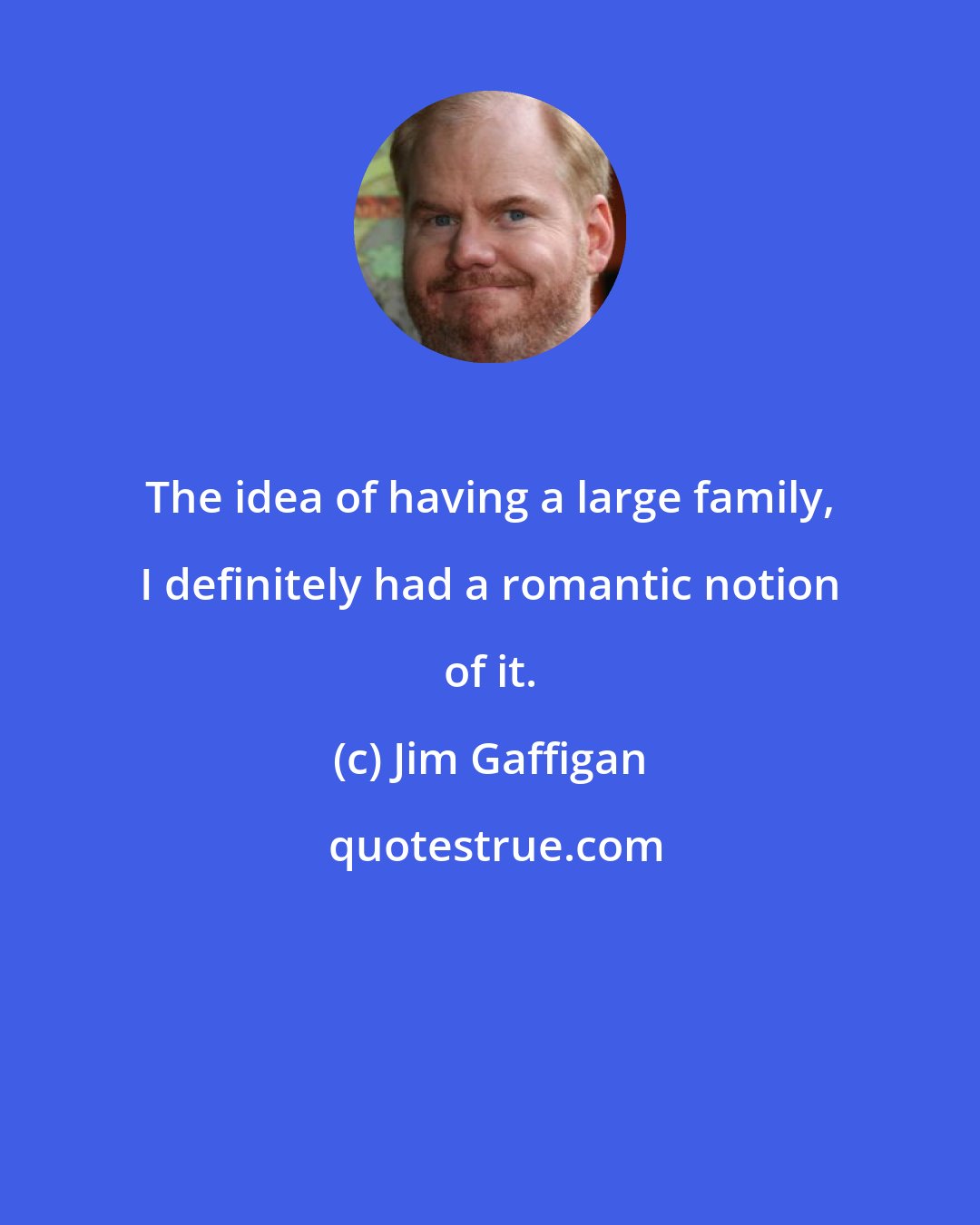 Jim Gaffigan: The idea of having a large family, I definitely had a romantic notion of it.