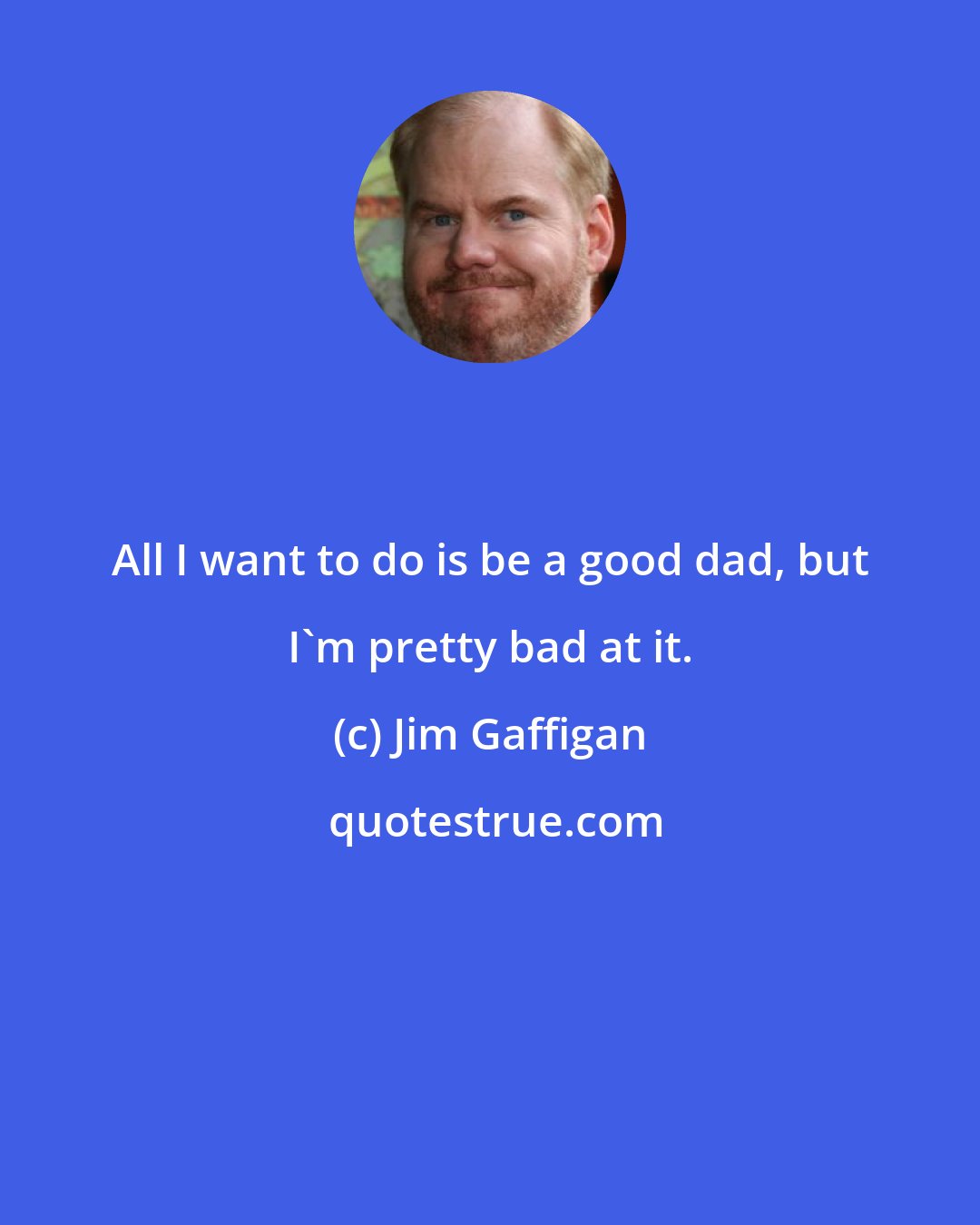 Jim Gaffigan: All I want to do is be a good dad, but I'm pretty bad at it.
