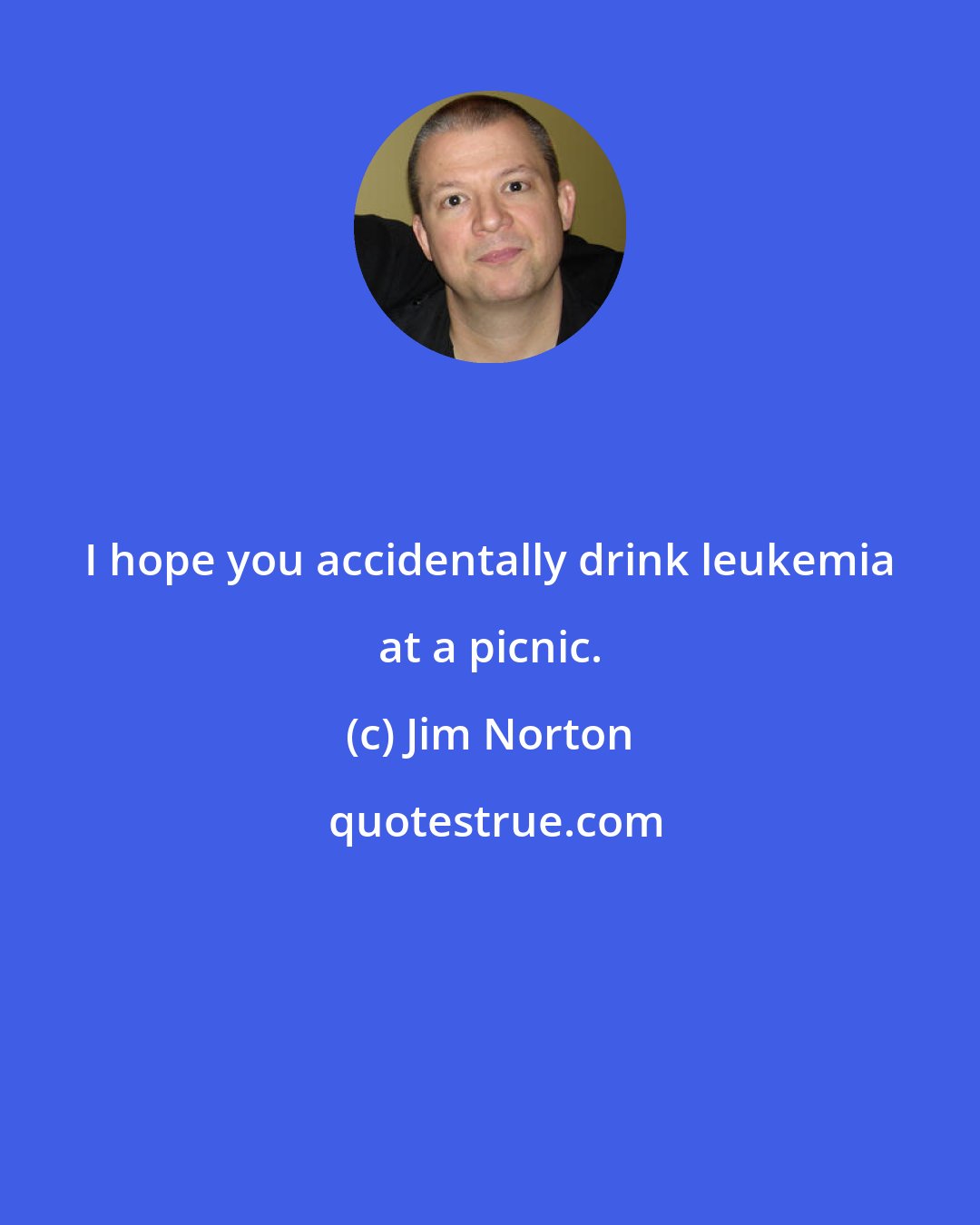 Jim Norton: I hope you accidentally drink leukemia at a picnic.