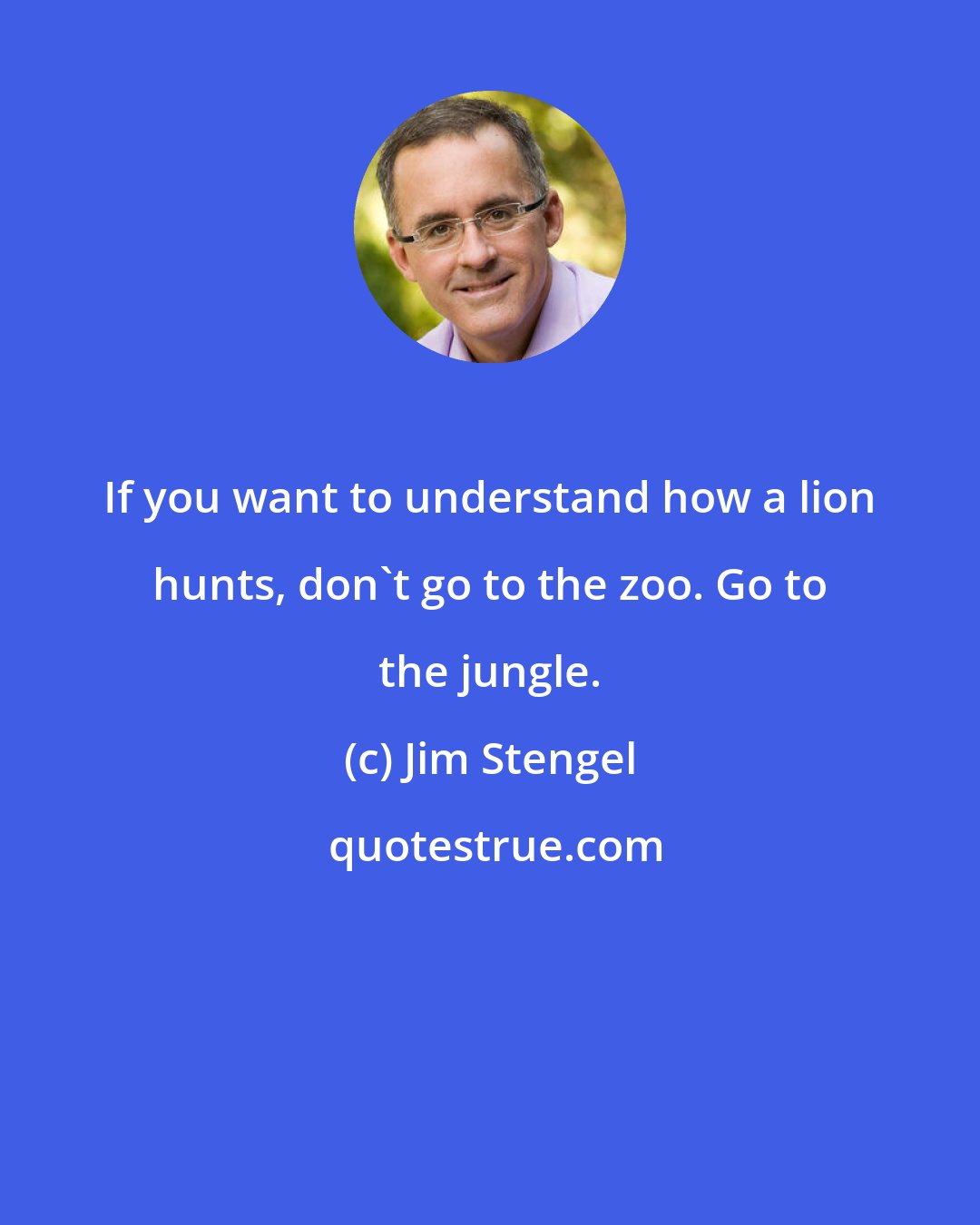 Jim Stengel: If you want to understand how a lion hunts, don't go to the zoo. Go to the jungle.