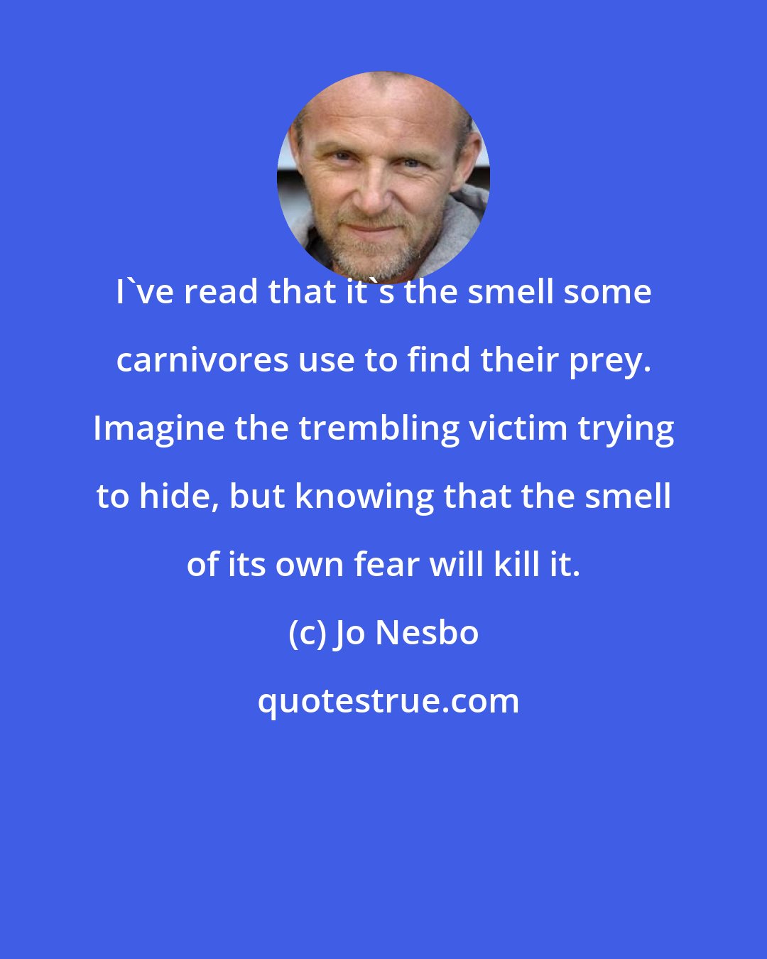Jo Nesbo: I've read that it's the smell some carnivores use to find their prey. Imagine the trembling victim trying to hide, but knowing that the smell of its own fear will kill it.