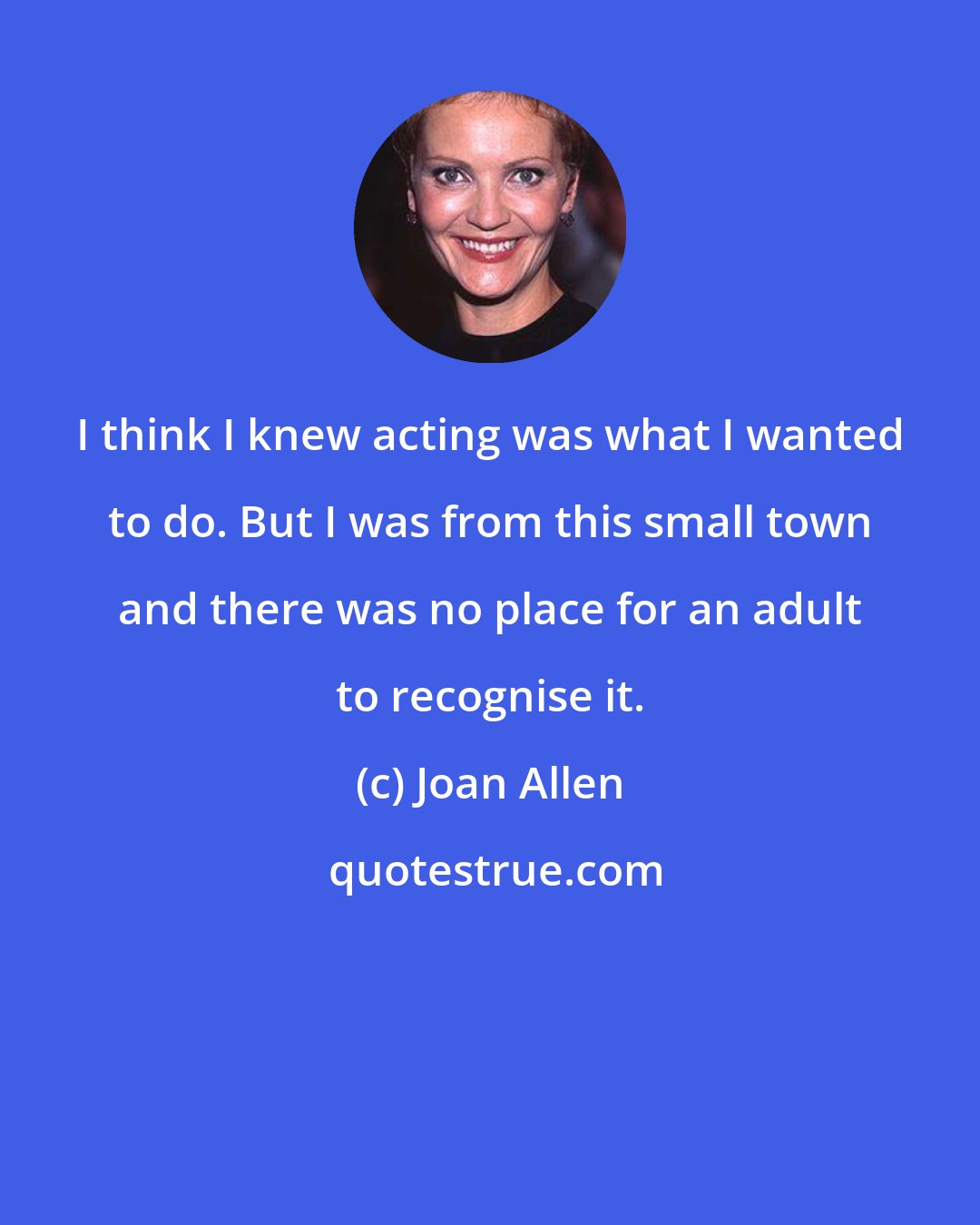 Joan Allen: I think I knew acting was what I wanted to do. But I was from this small town and there was no place for an adult to recognise it.