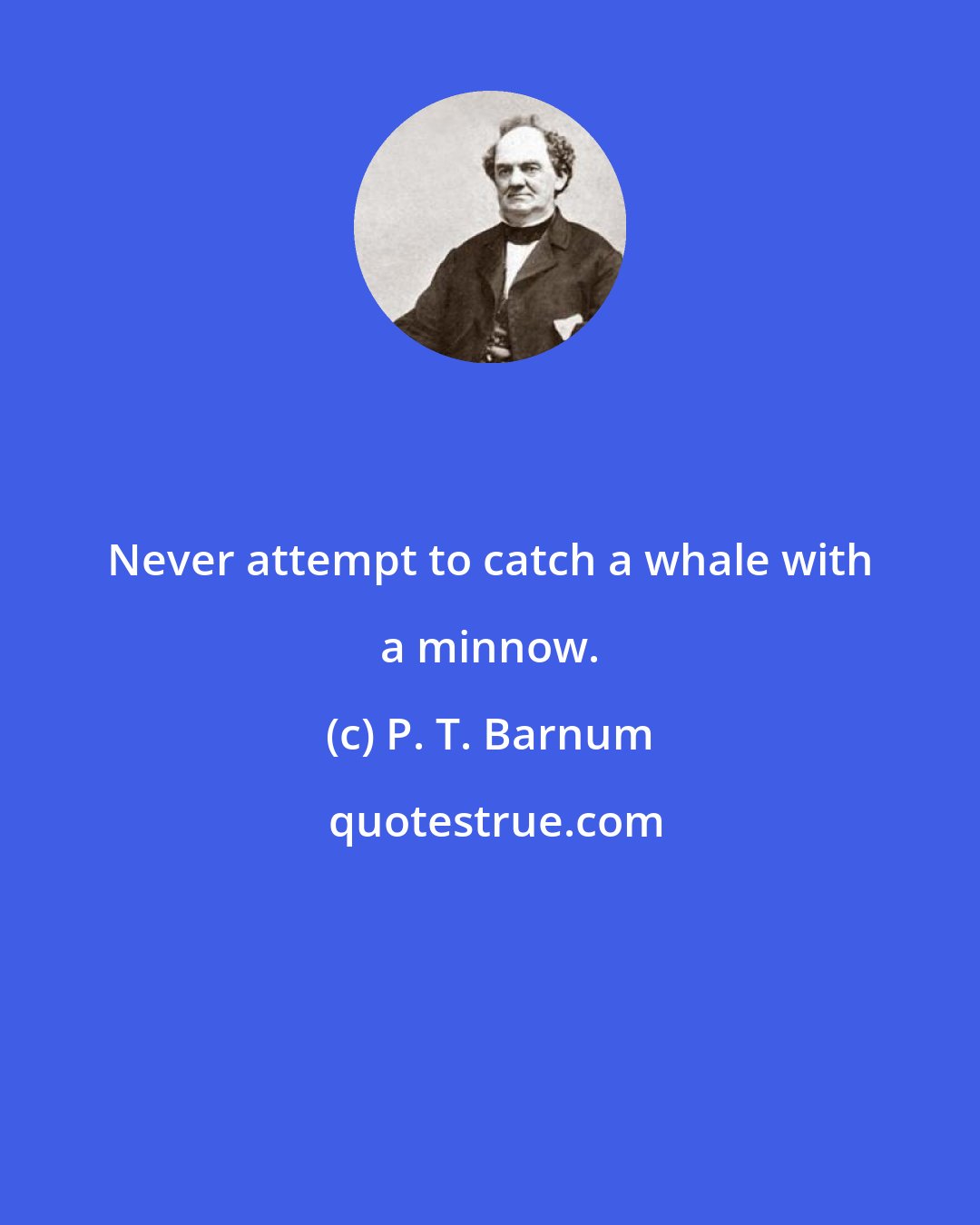 P. T. Barnum: Never attempt to catch a whale with a minnow.